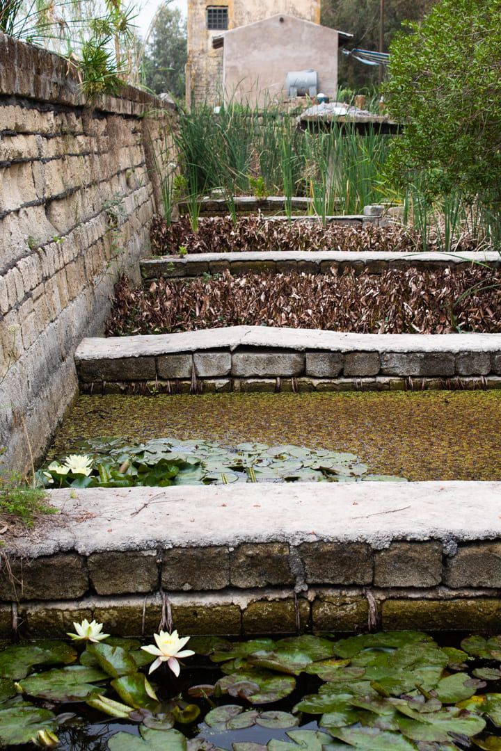 Food-foresting a due passi dal mar Ionio