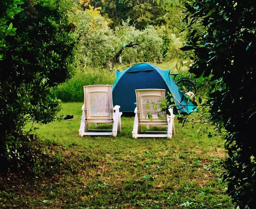 Pitches to camp in the province of Viterbo