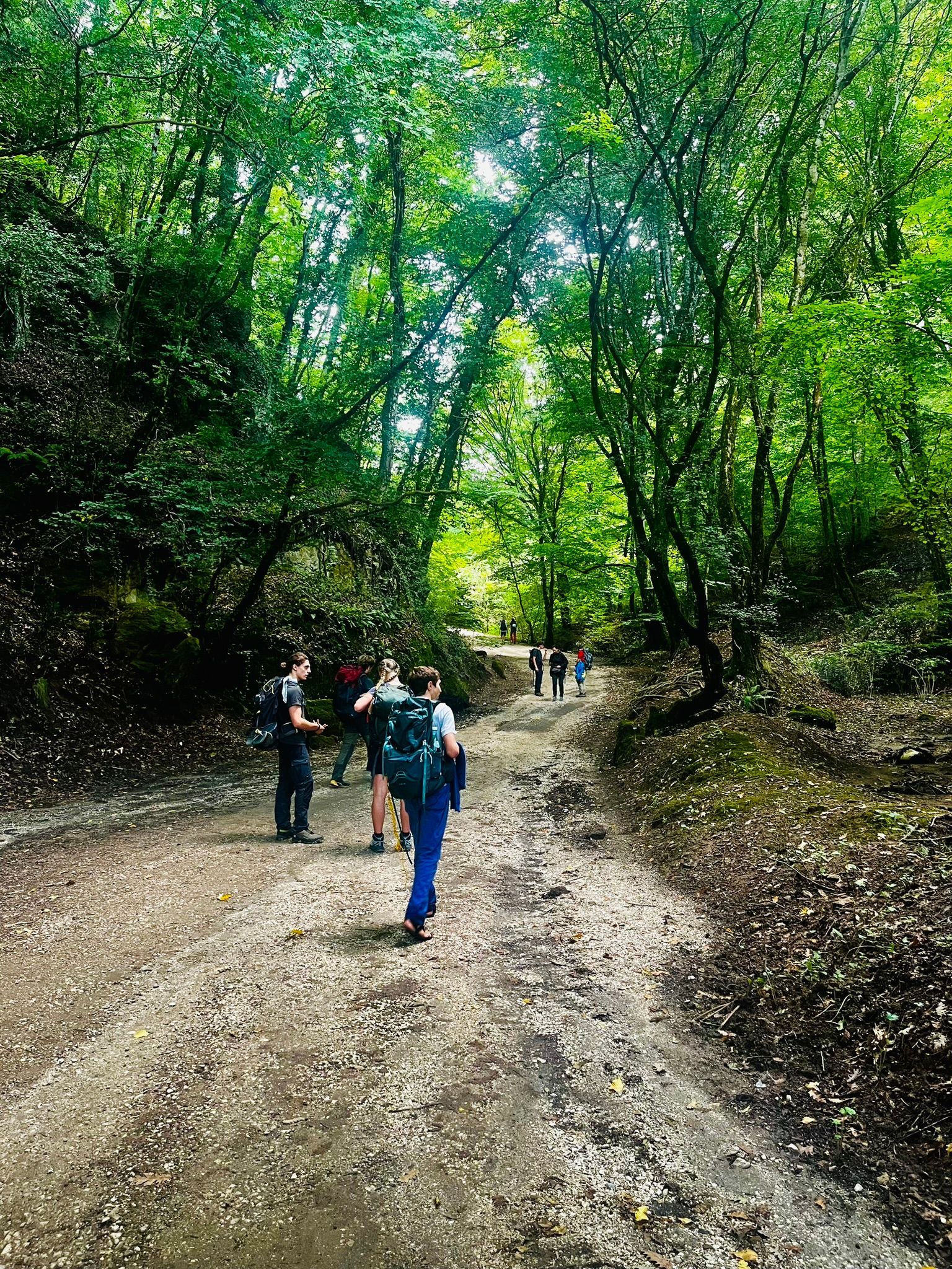 Pitches to camp in the province of Viterbo