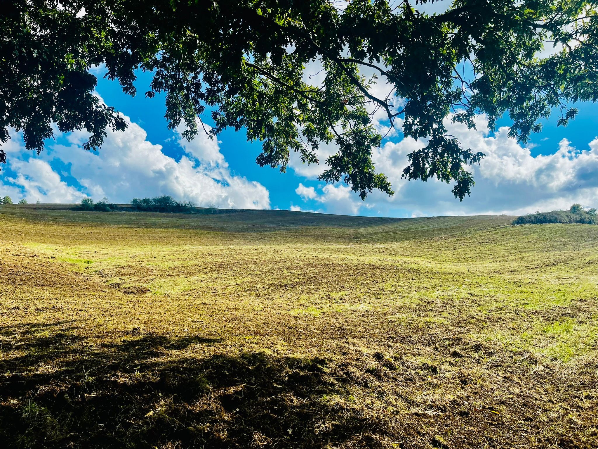 Pitches to camp in the province of Viterbo