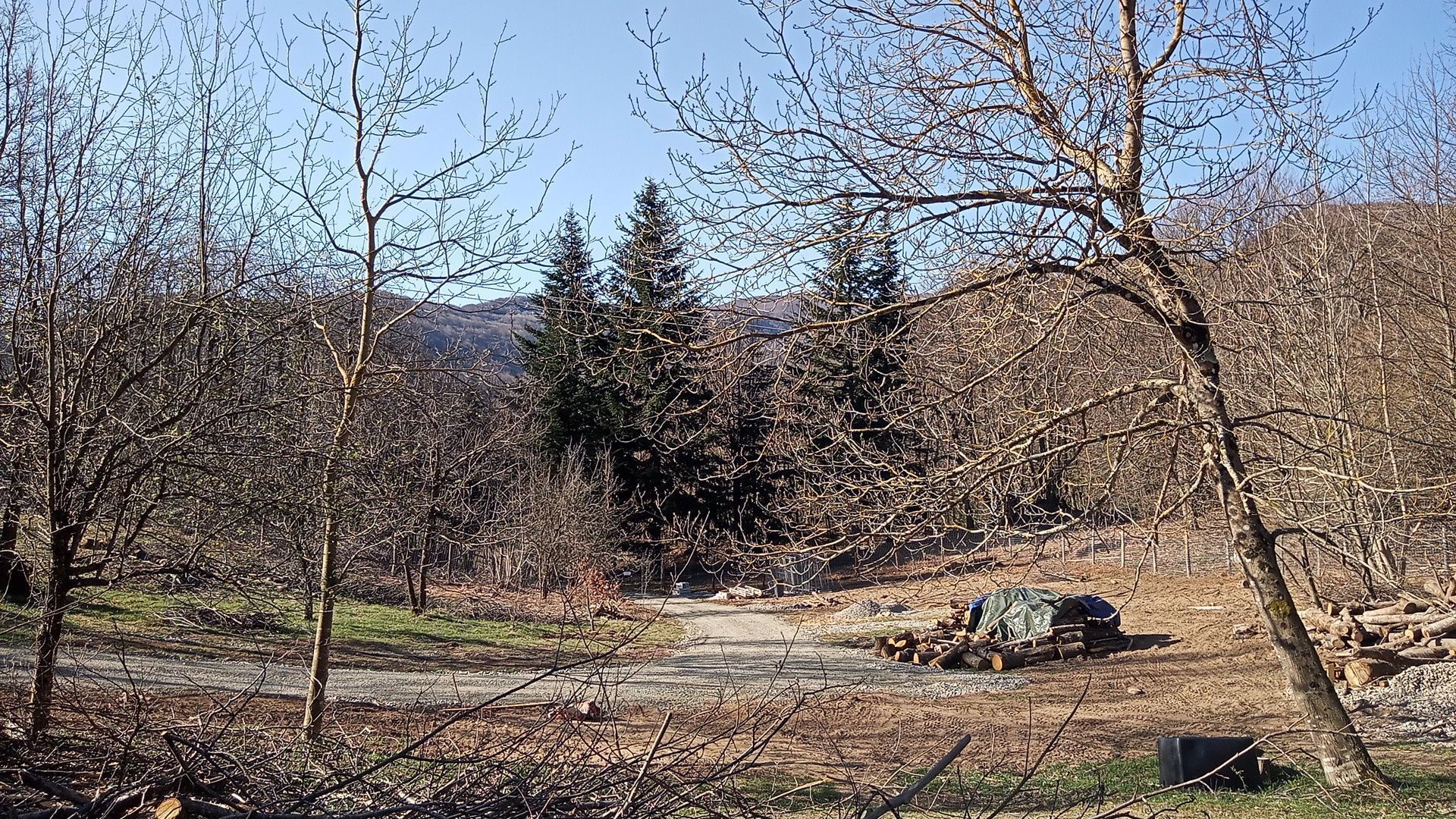 Chalet in legno nella natura incontaminata