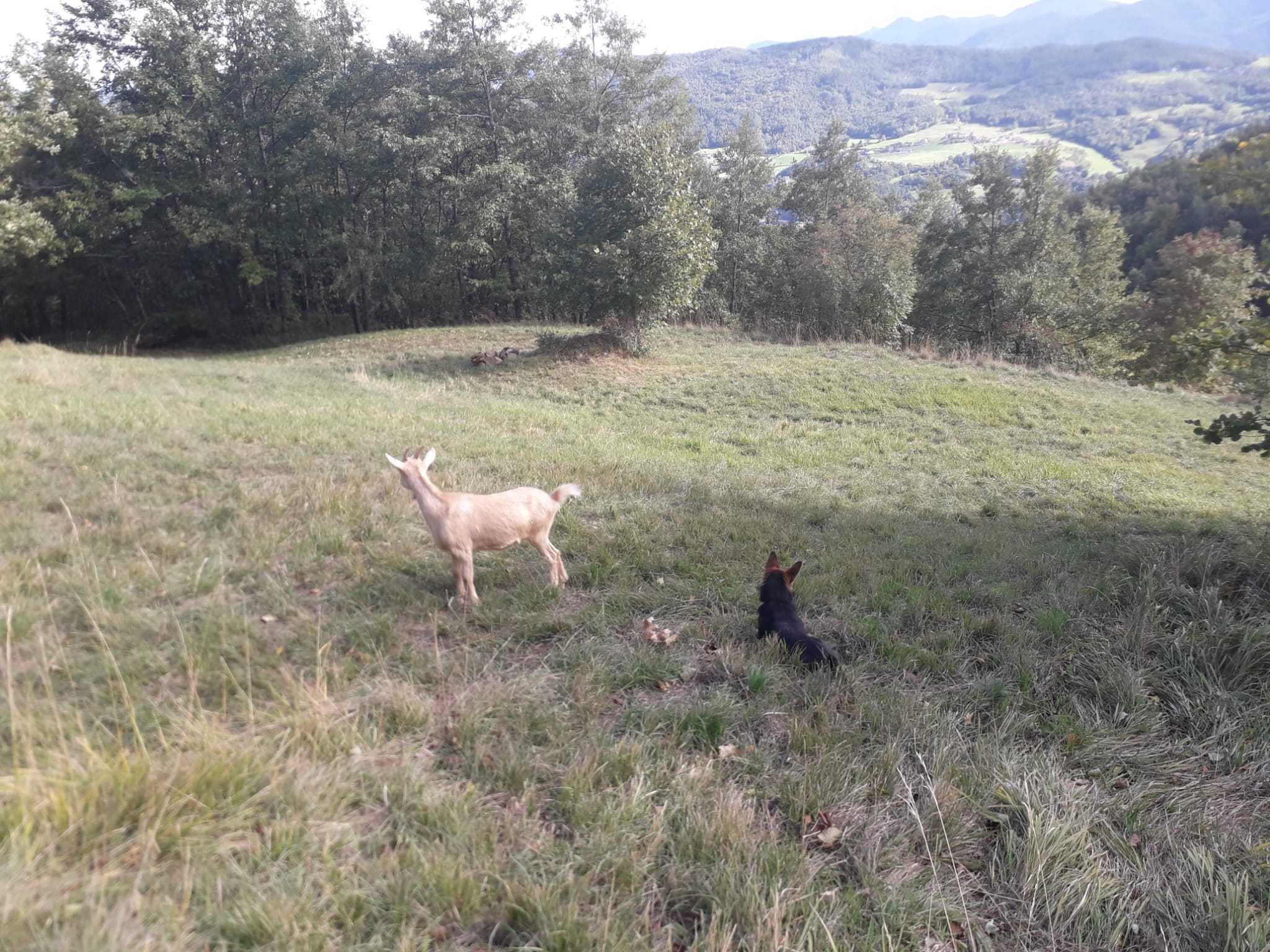 Piazzole per soggiornare nell'Appennino Tosco - Emiliano