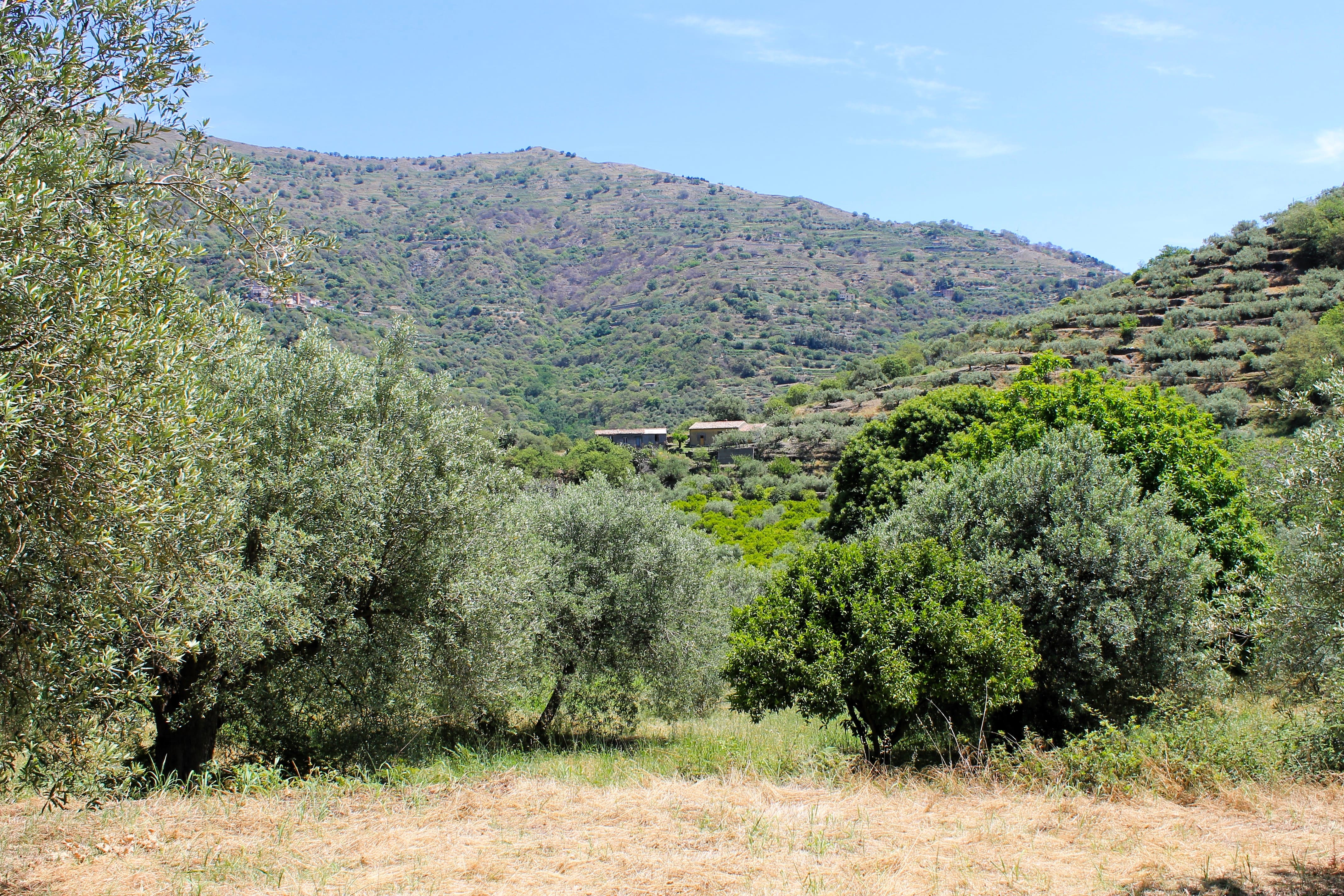 Glamping and Relaxation in Nature in the Agrò Valley