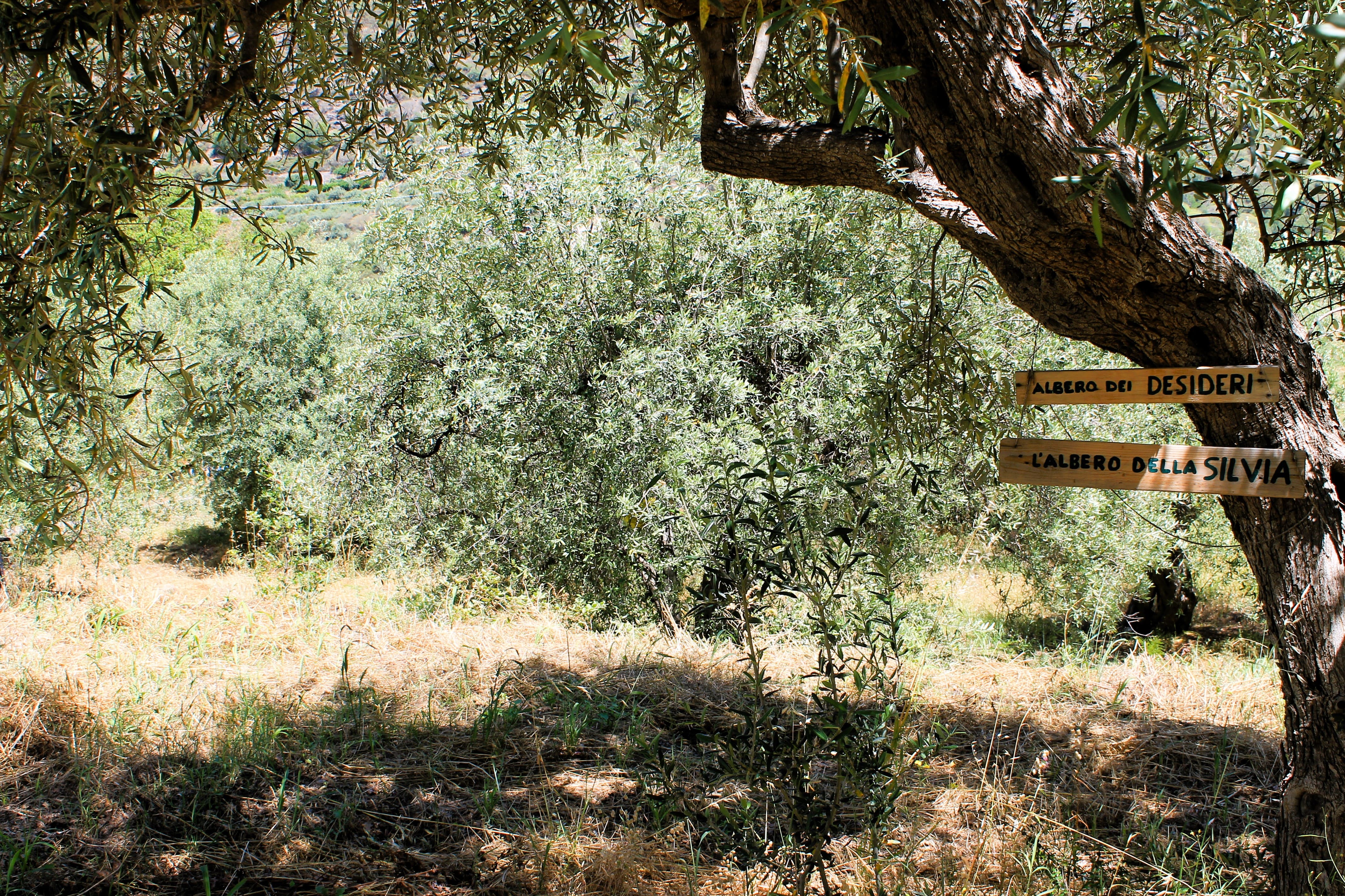 Glamping and Relaxation in Nature in the Agrò Valley