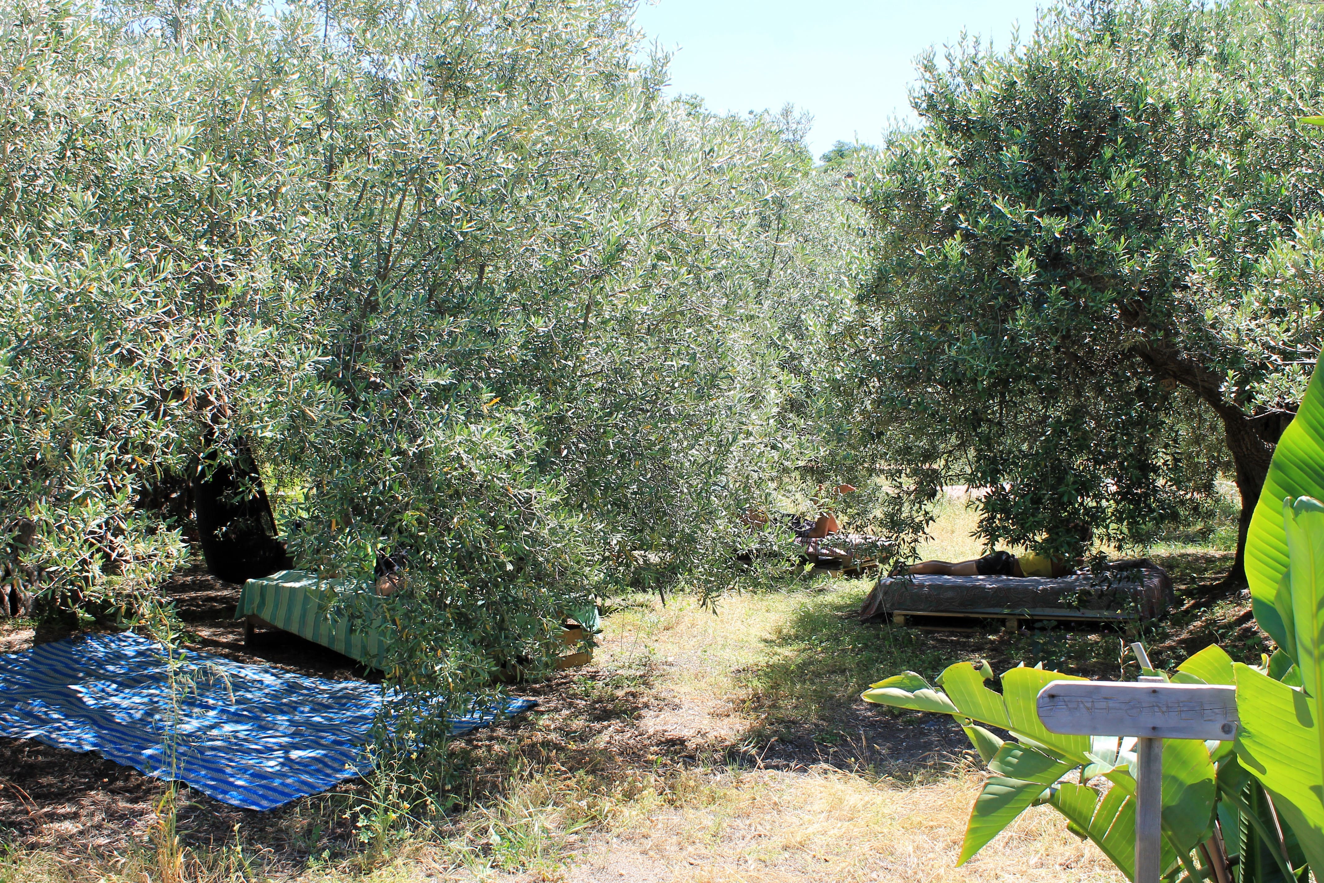 Piazzole per Relax in Natura nella Valle d'Agrò