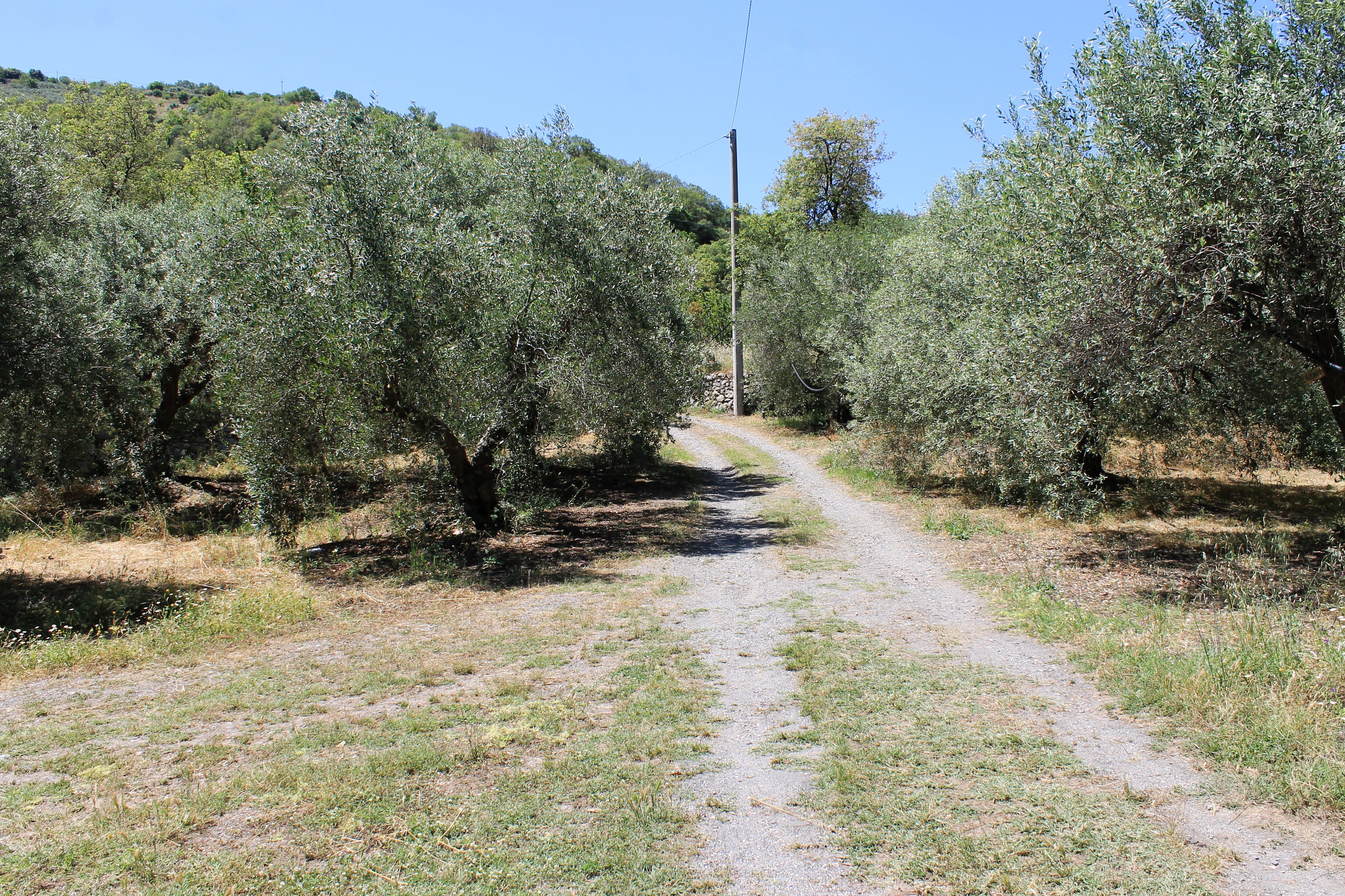 Piazzole per Relax in Natura nella Valle d'Agrò