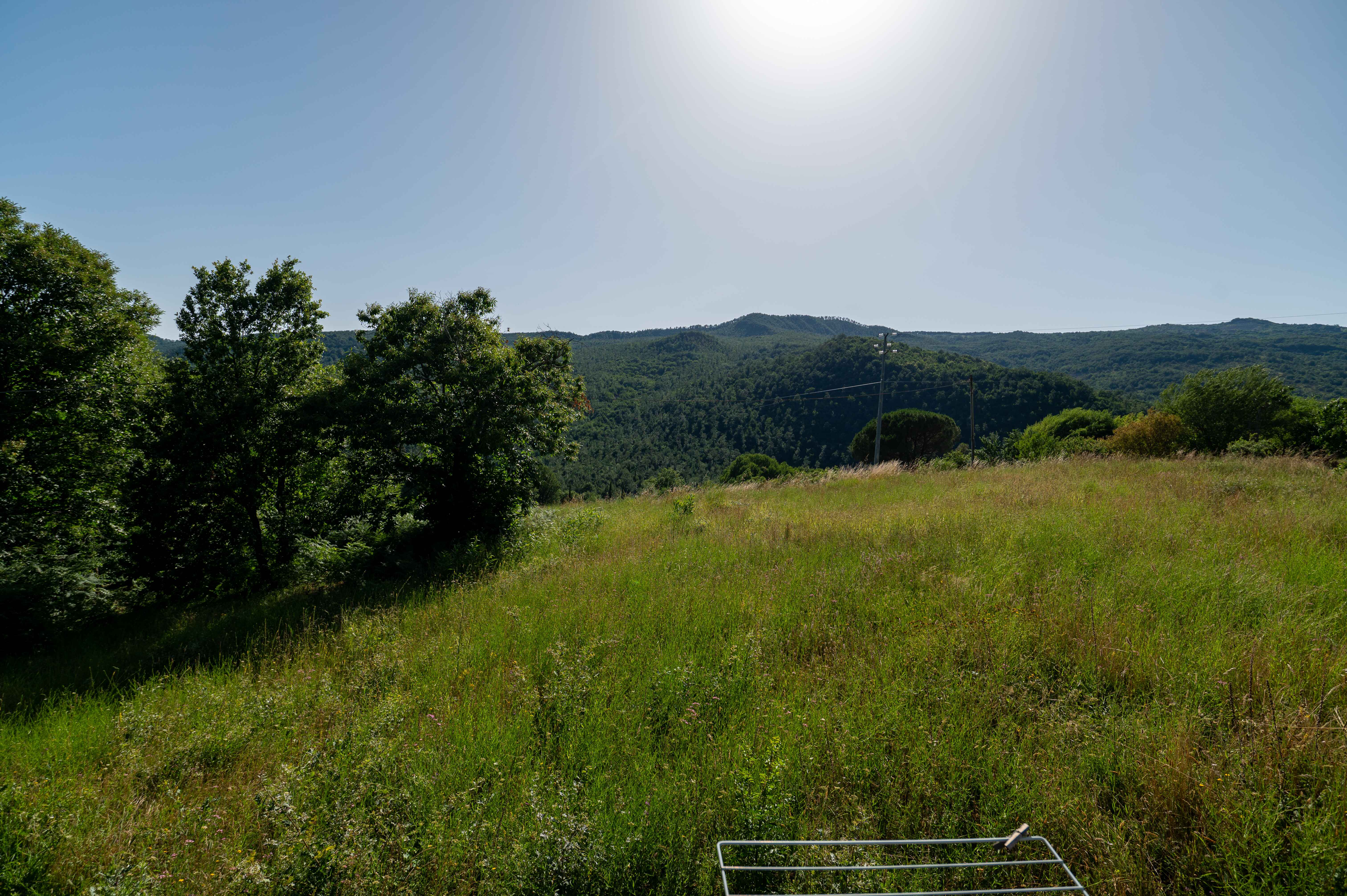 A glamping tent in a dream landscape