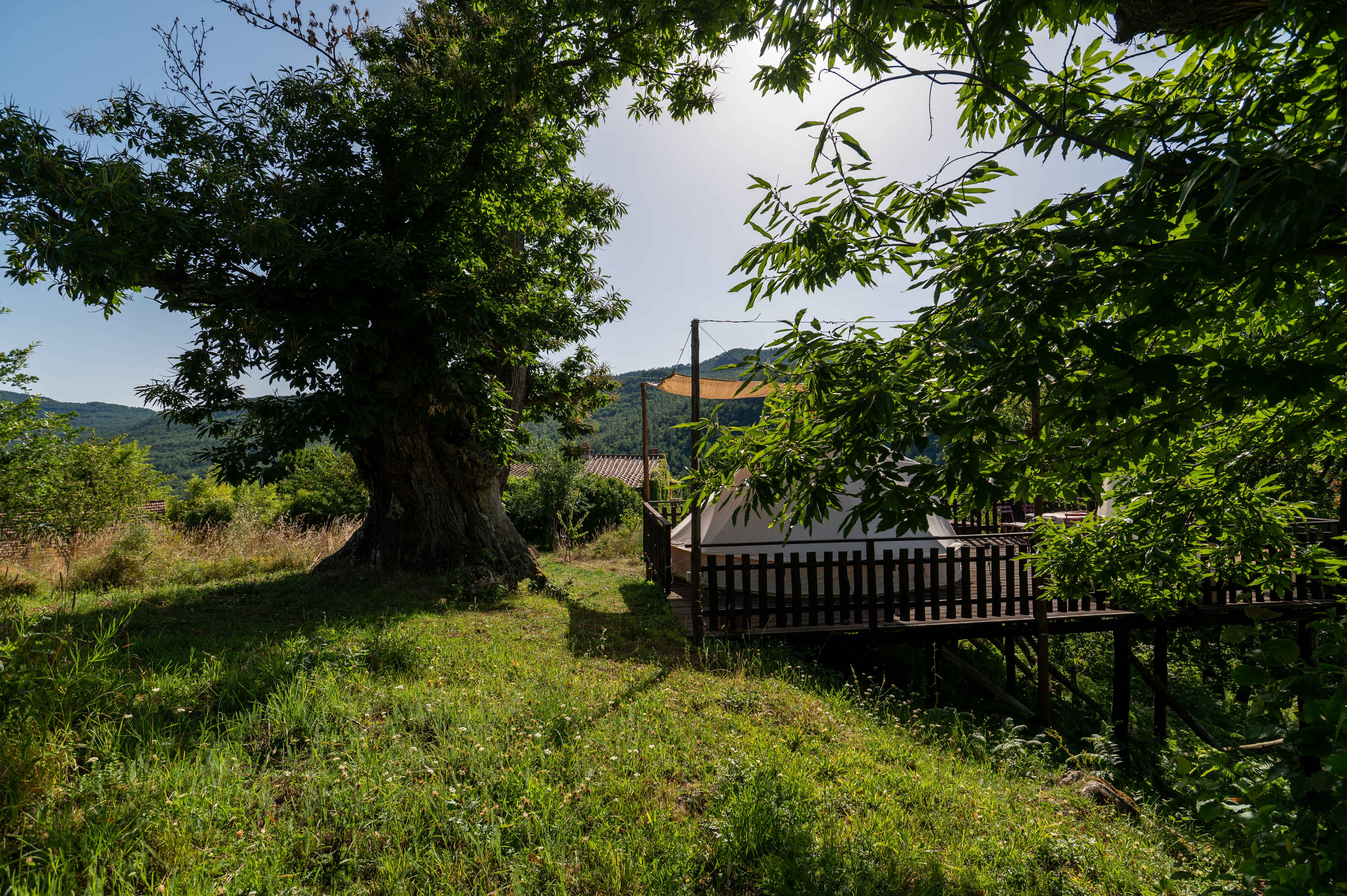 A glamping tent in a dream landscape