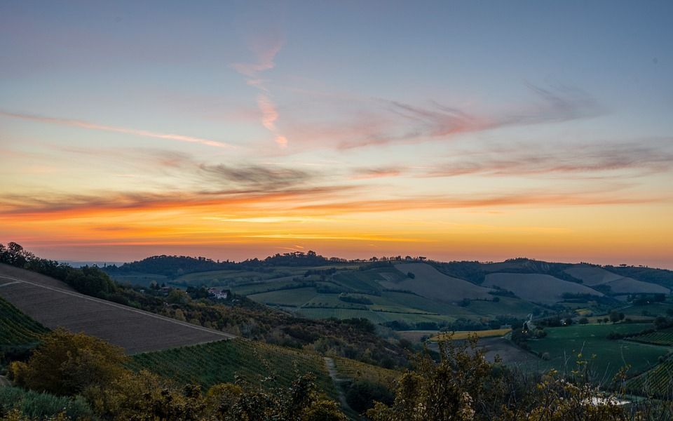 Prato panoramico sulle colline tra Valle del Savio e Valle del Bidente