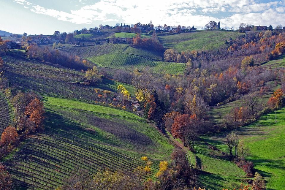 Prato panoramico sulle colline tra Valle del Savio e Valle del Bidente