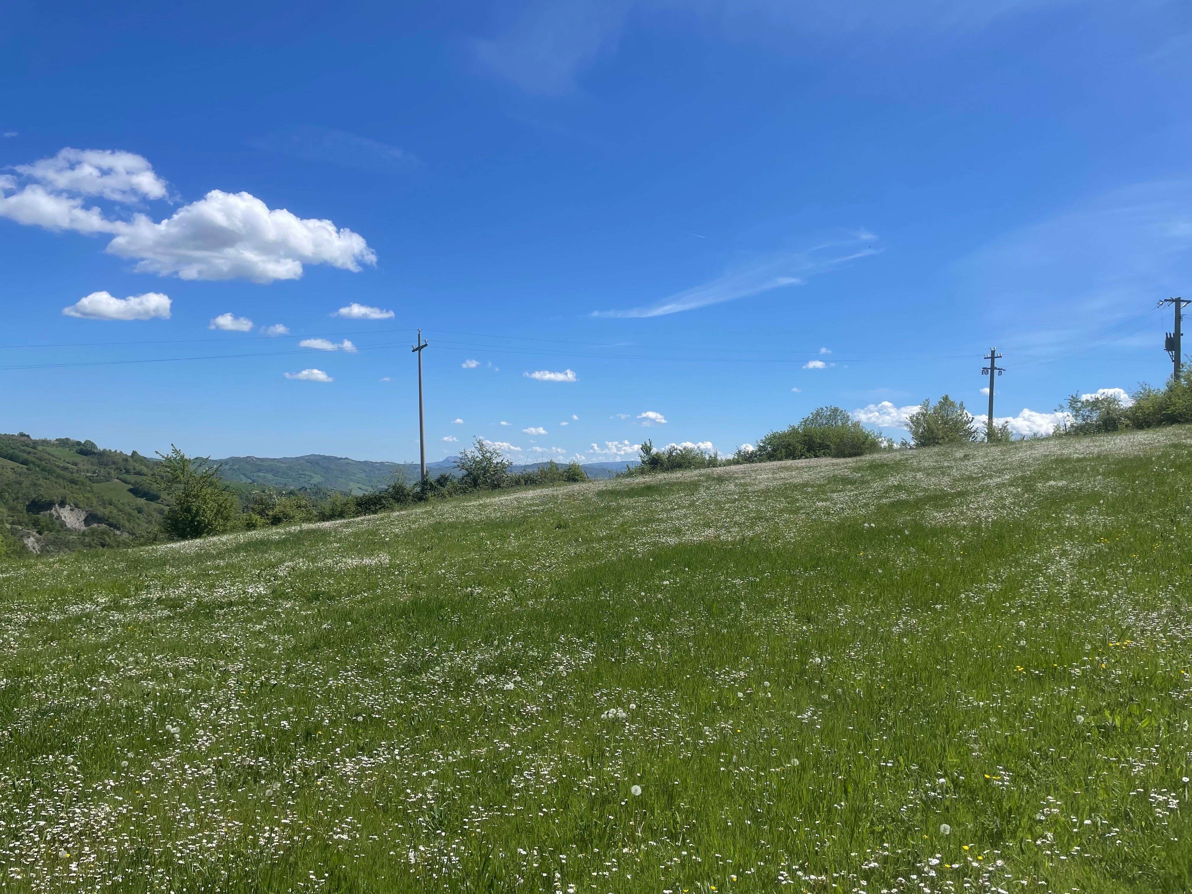 Prato panoramico sulle colline tra Valle del Savio e Valle del Bidente