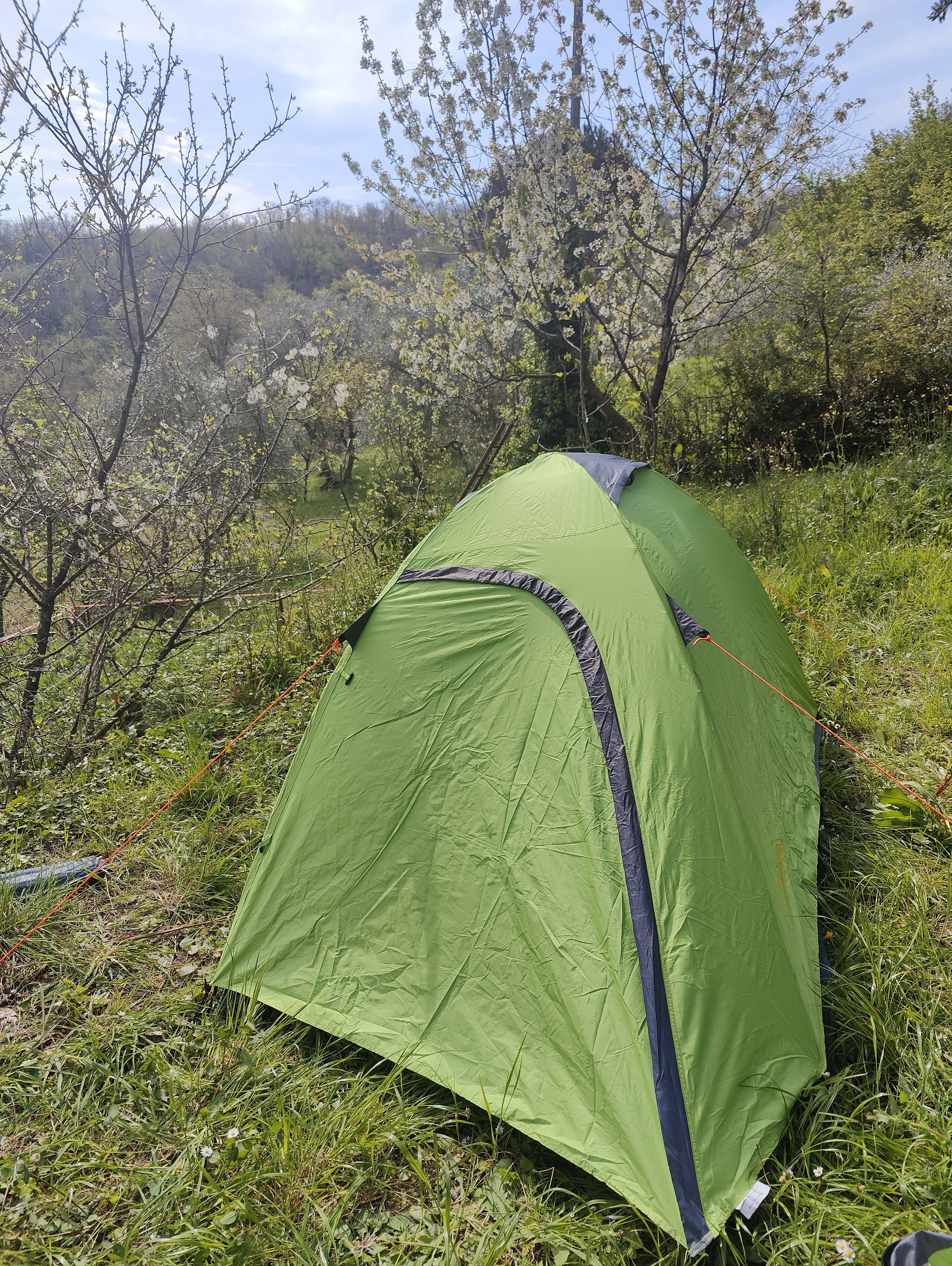 Spazio nel bosco per tenda e silenzio