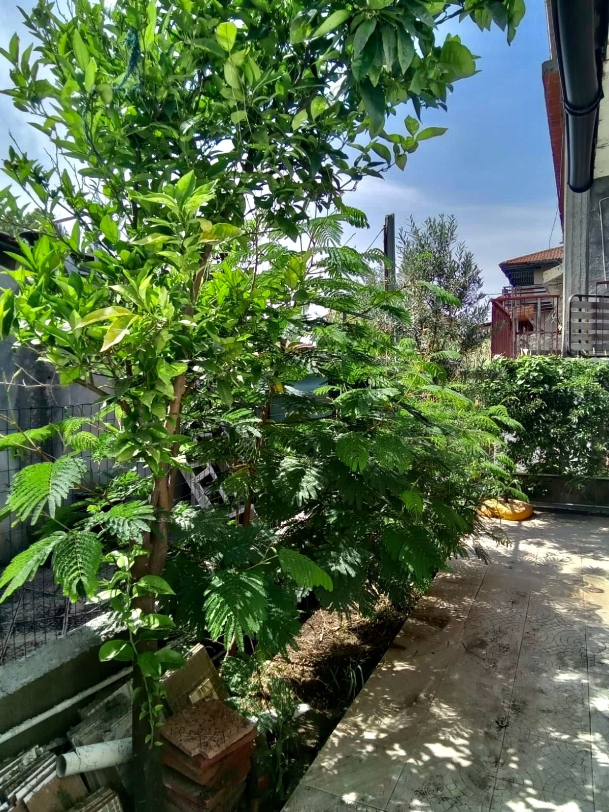 Nel giardino della Casetta Colorata: relax in natura a Catania