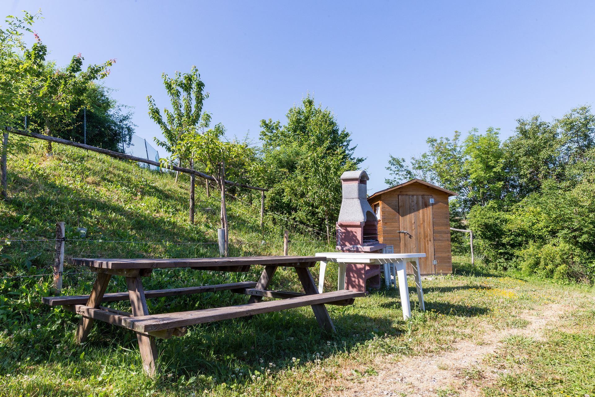 agricampeggio alle pendici di Monte Adone