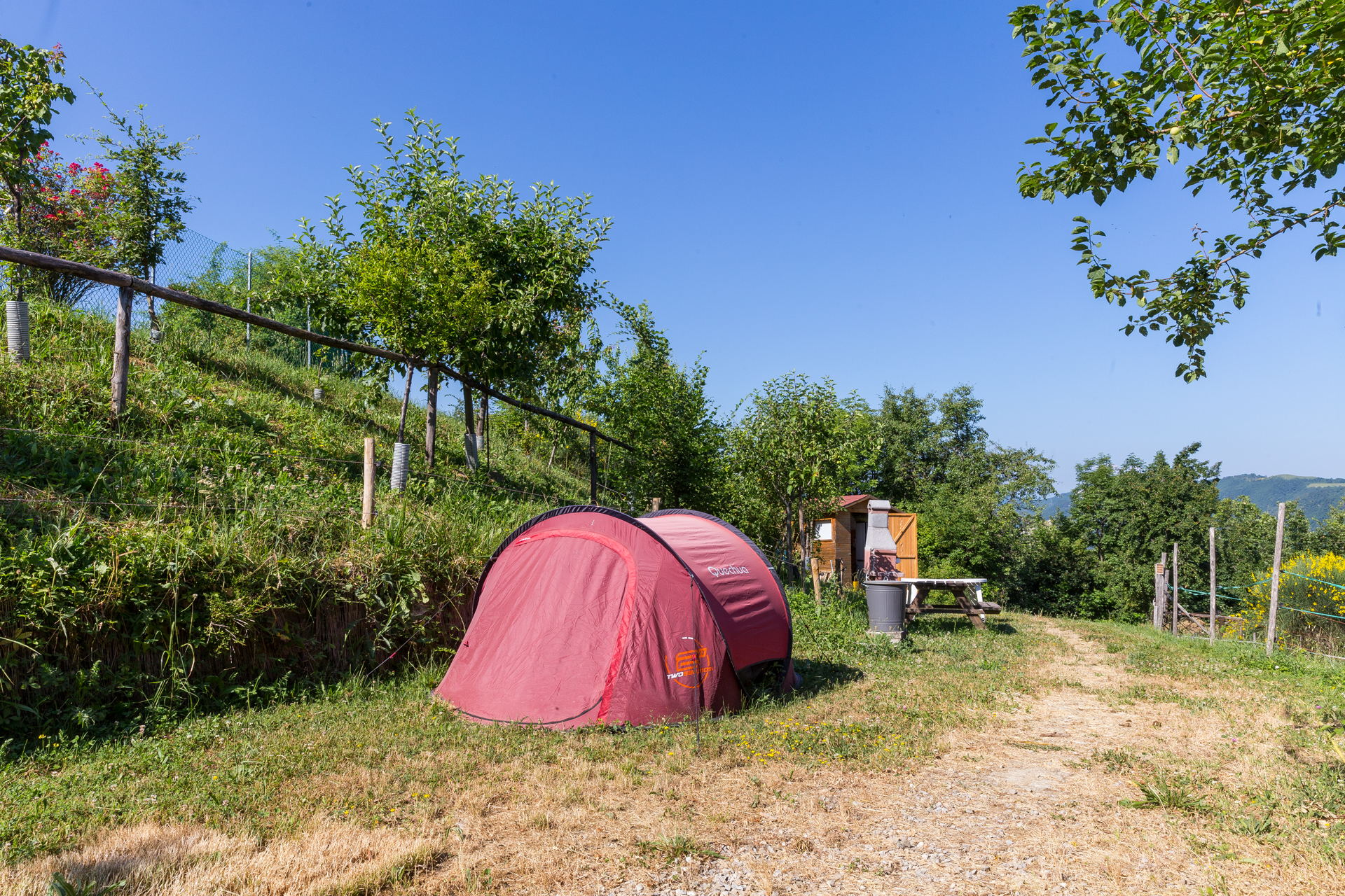 agricampeggio alle pendici di Monte Adone