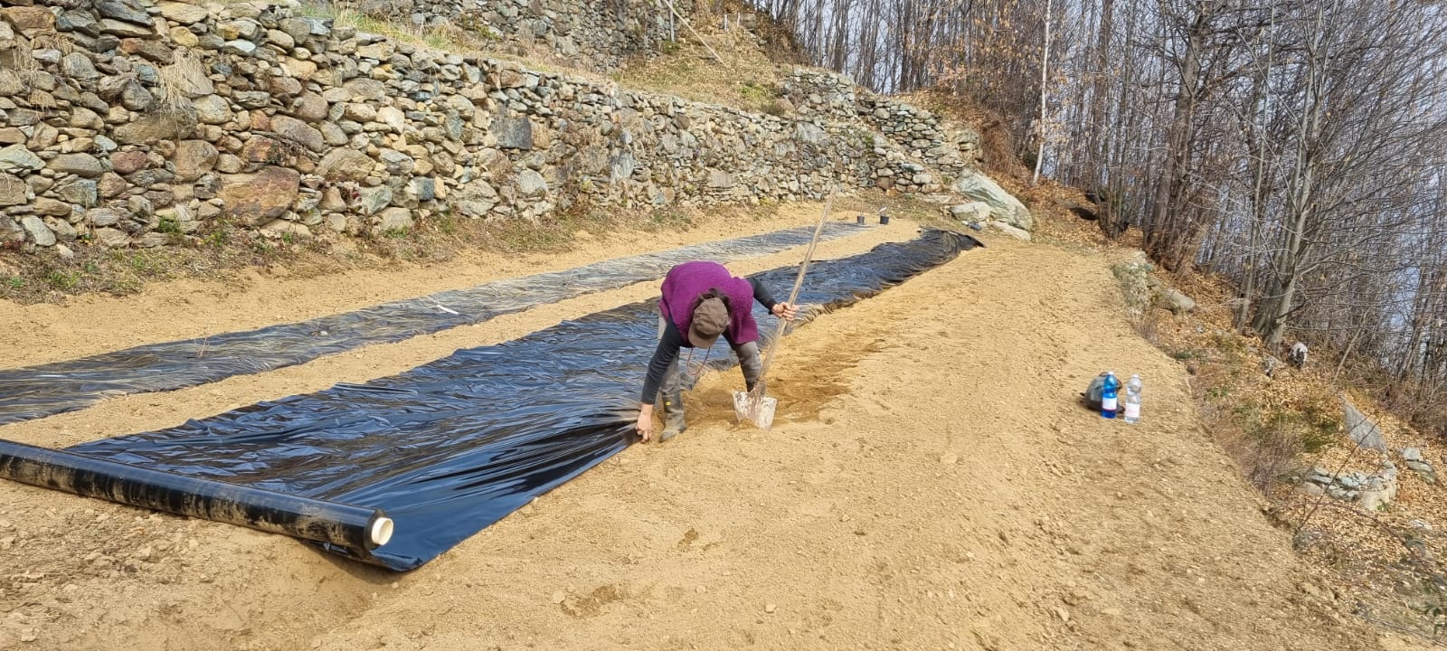 Fata dei fiori - Garden Camping