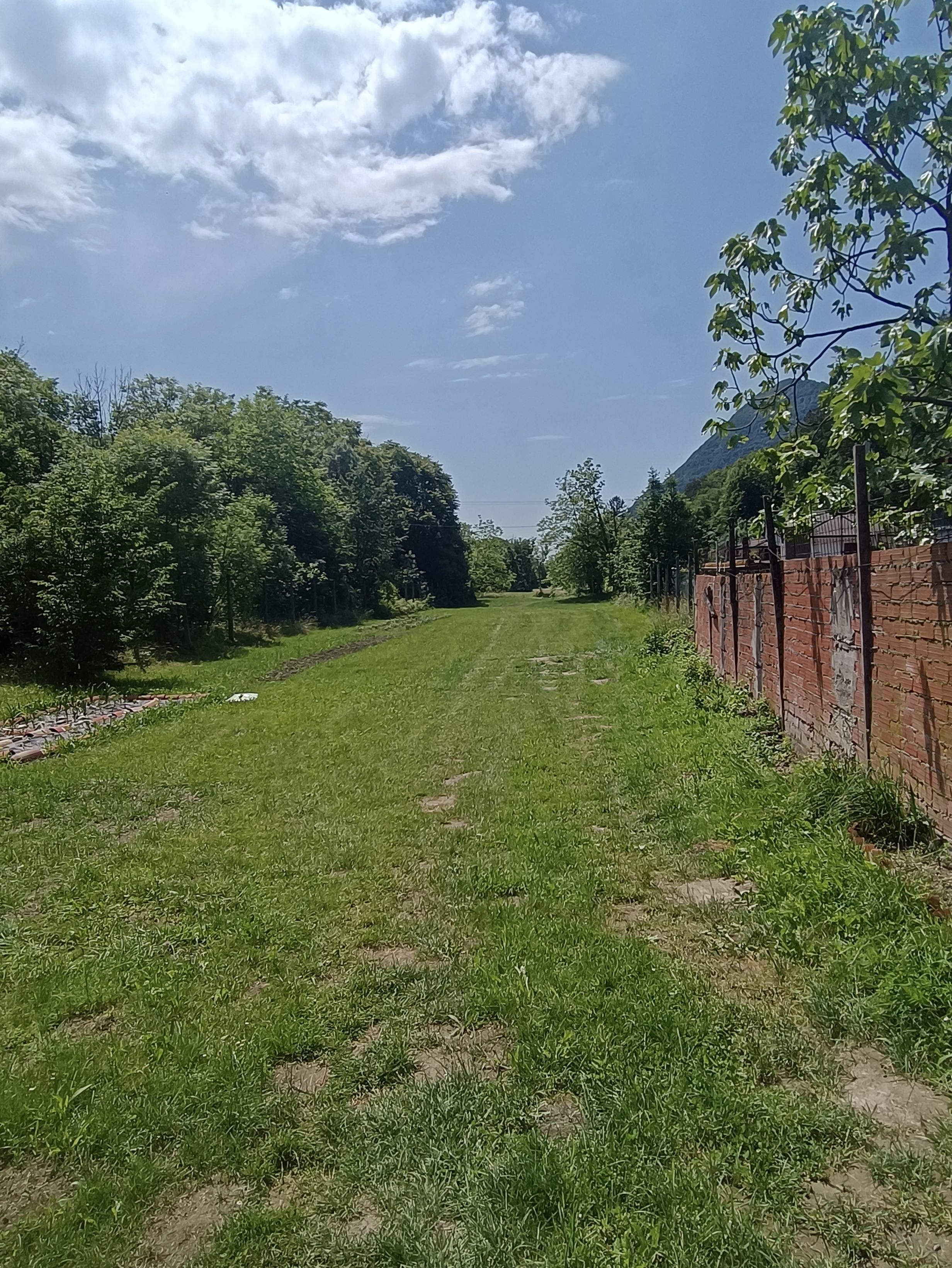 Al limitare del bosco di Udine