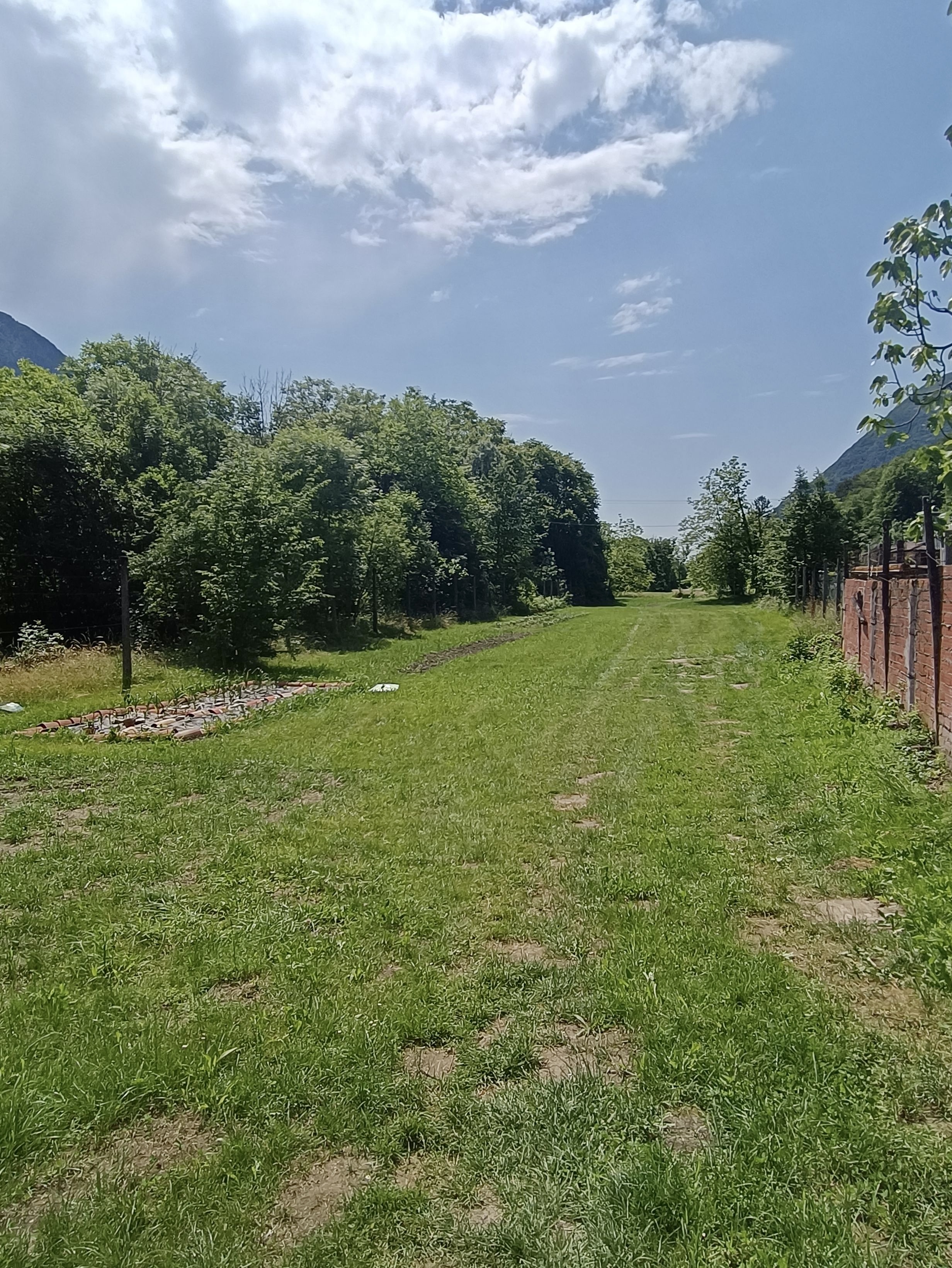 Al limitare del bosco di Udine