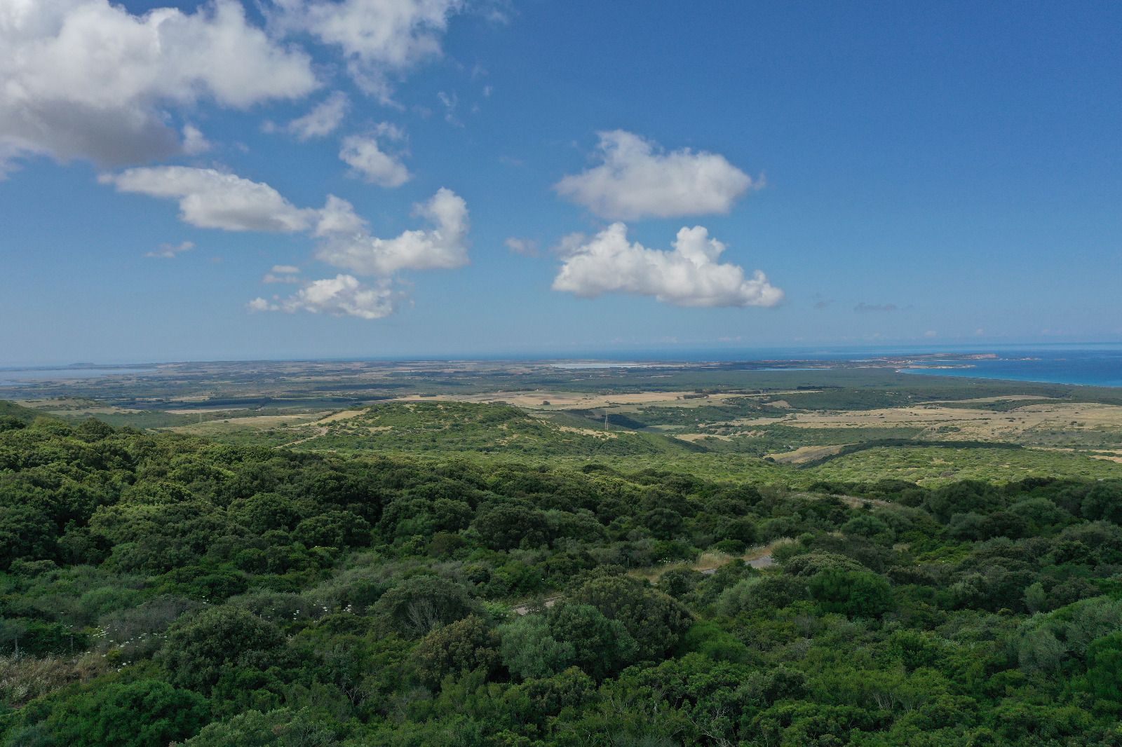 Bosco vista Mare