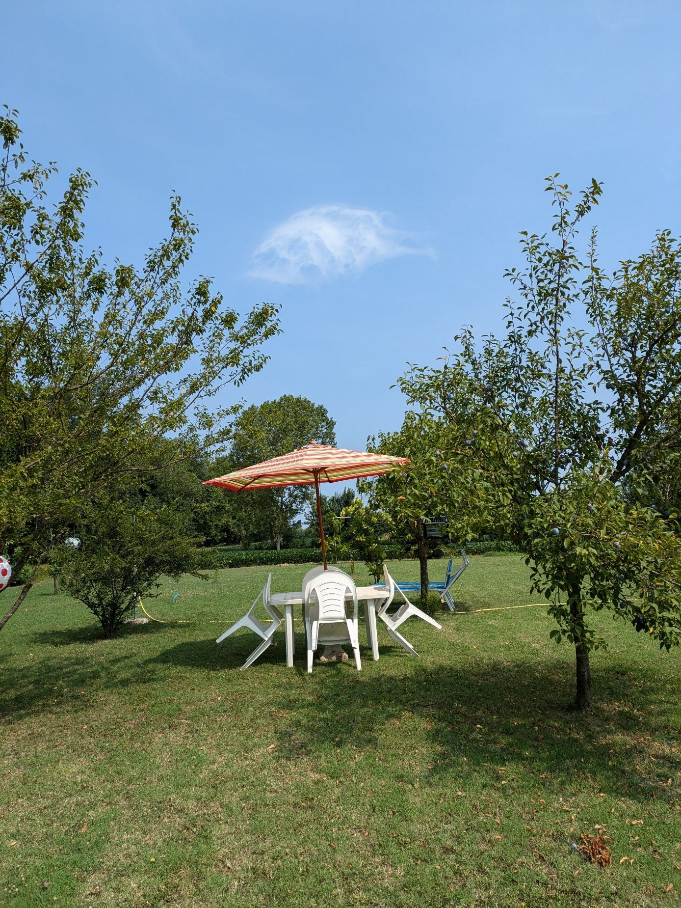 Natura & Relax vicino Venezia