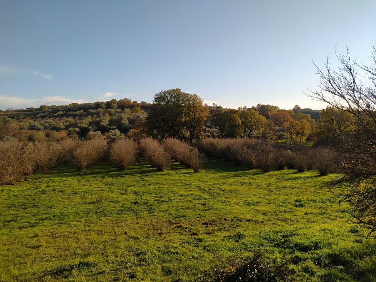 Piazzole selvagge, in Comunità Artistica e Autosufficiente.