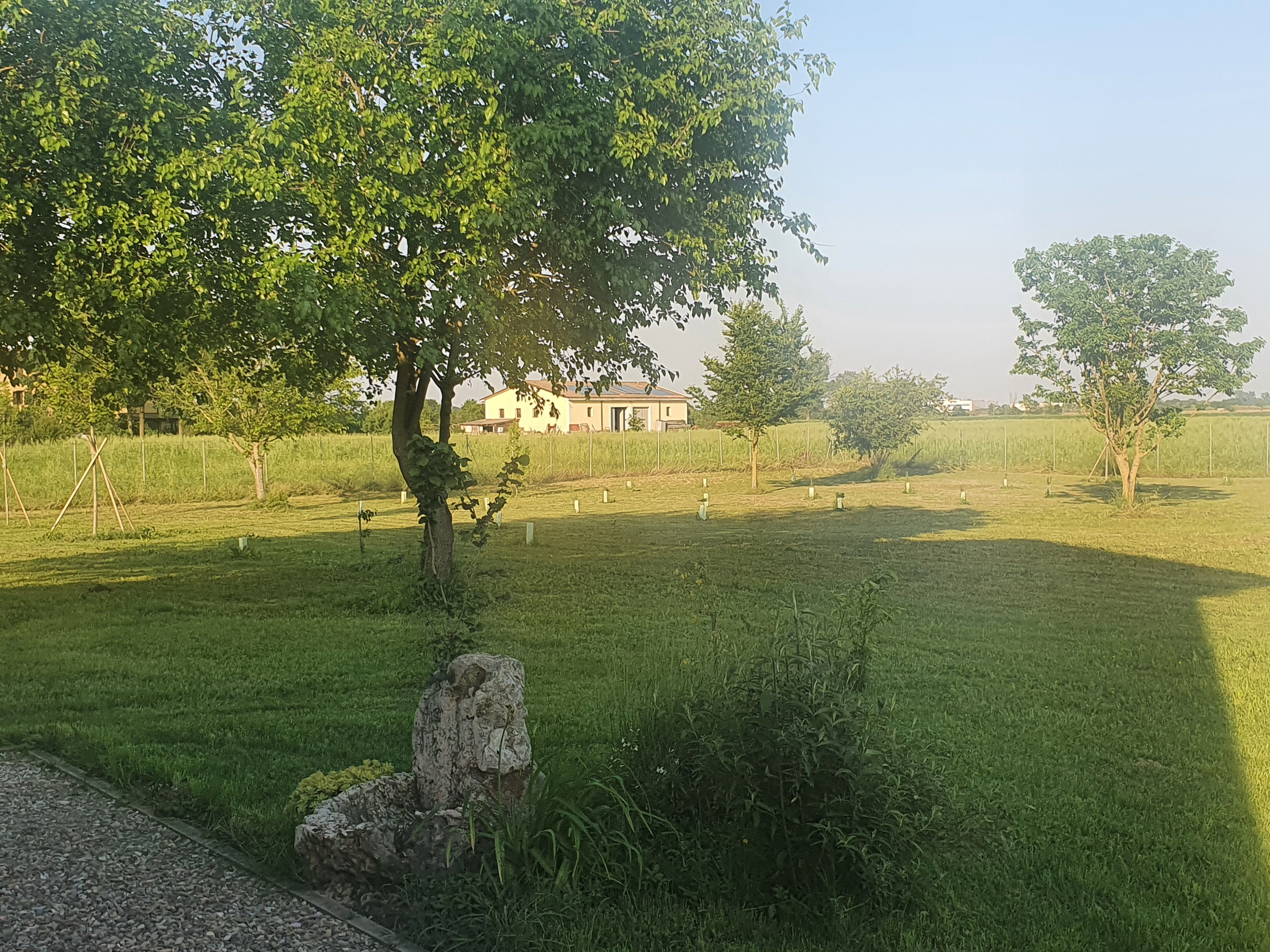 Space for caravan or tent