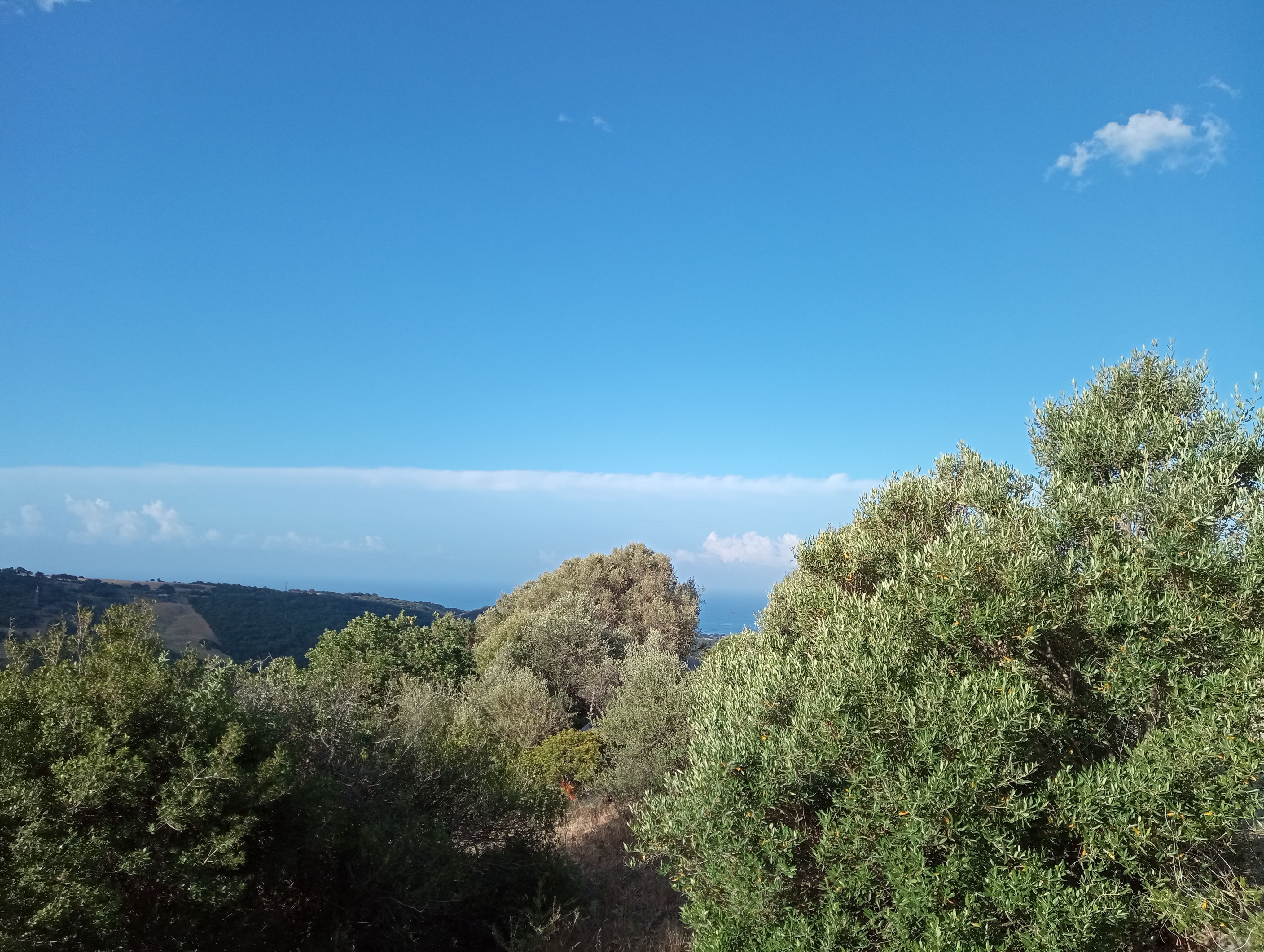 Bungalow sulle colline di Civitavecchia con vista sul mare