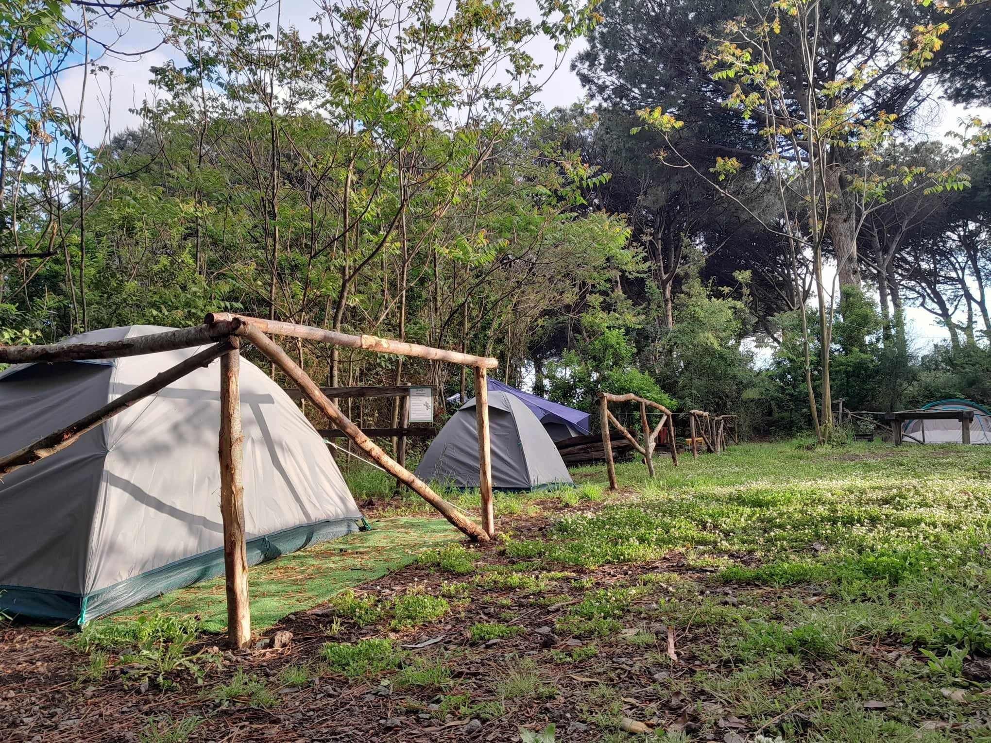 Brandito's Wild Camp: posto tenda