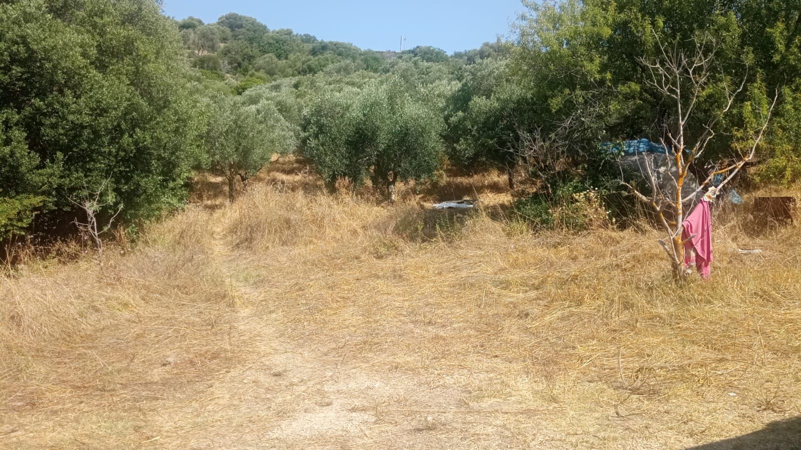 Terreno montañoso salvaje con vistas al mar en el parque natural