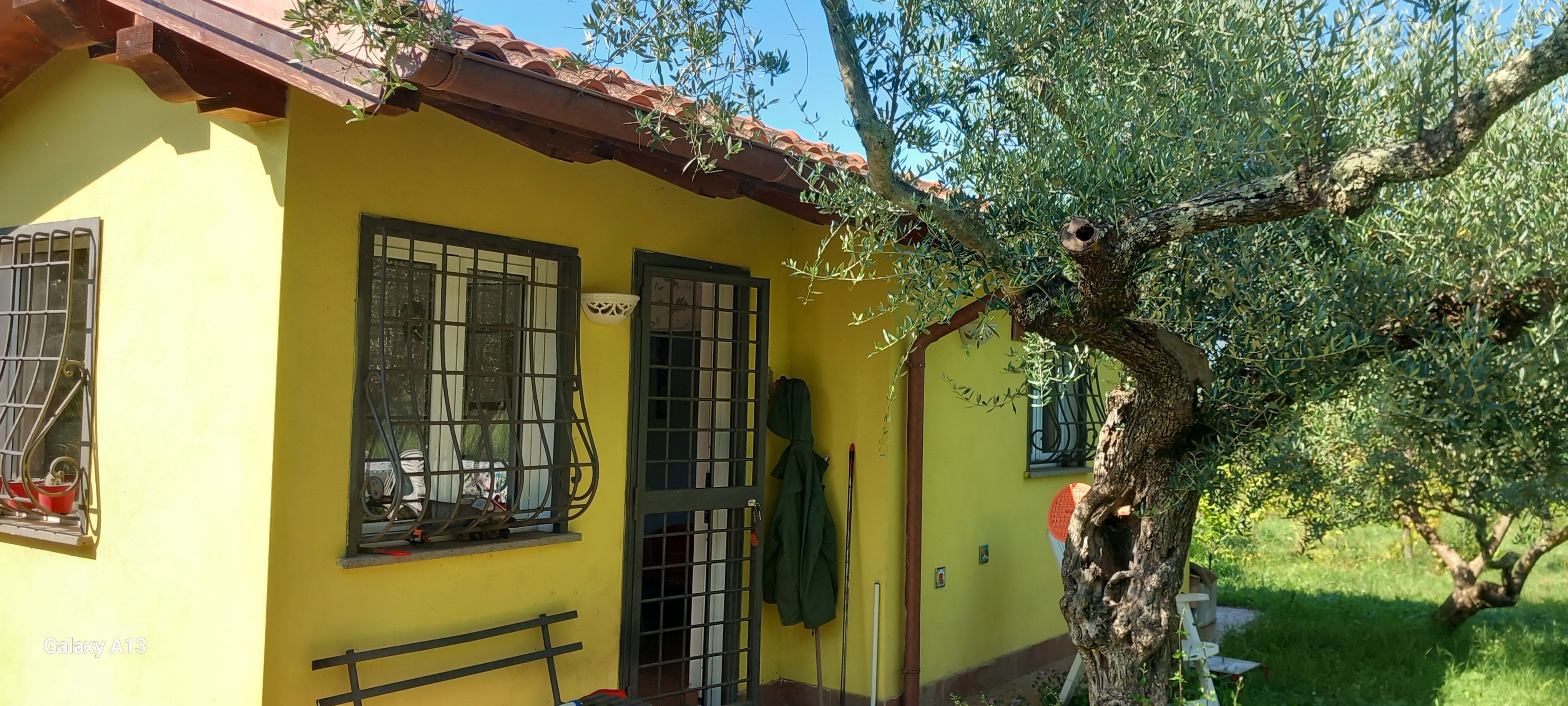 In Tenda o in Camper presso Uliveto sulla Via Francigena in Lazio