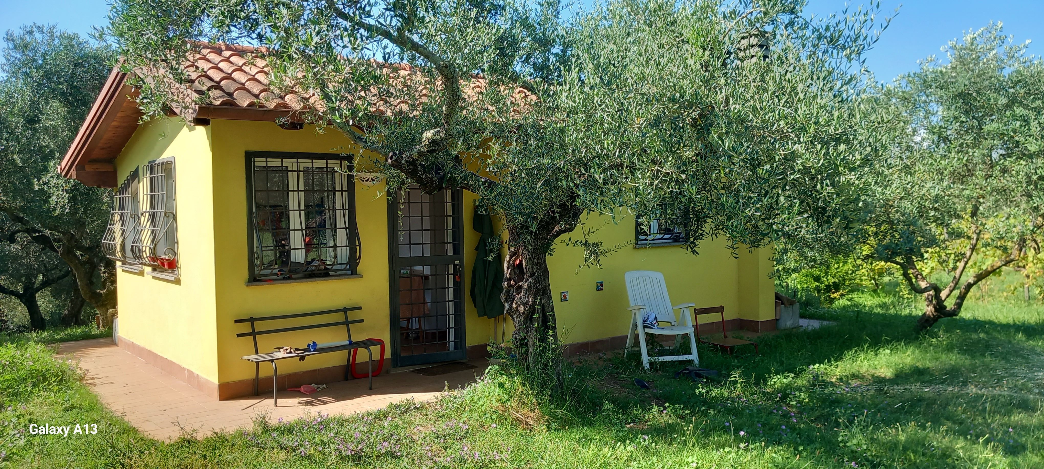 In Tenda o in Camper presso Uliveto sulla Via Francigena in Lazio