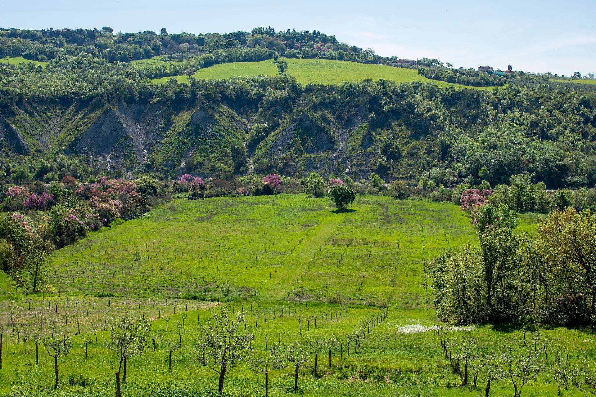 Seme di Carota - Luxury glamping in Toscana