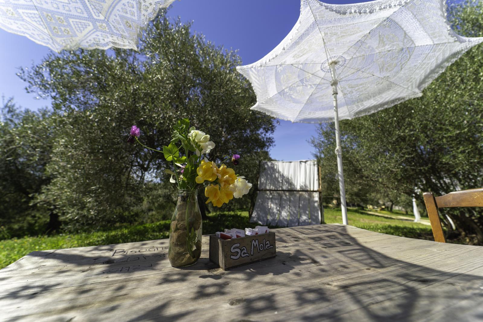Sa Mola Glamping Experience tra gli ulivi