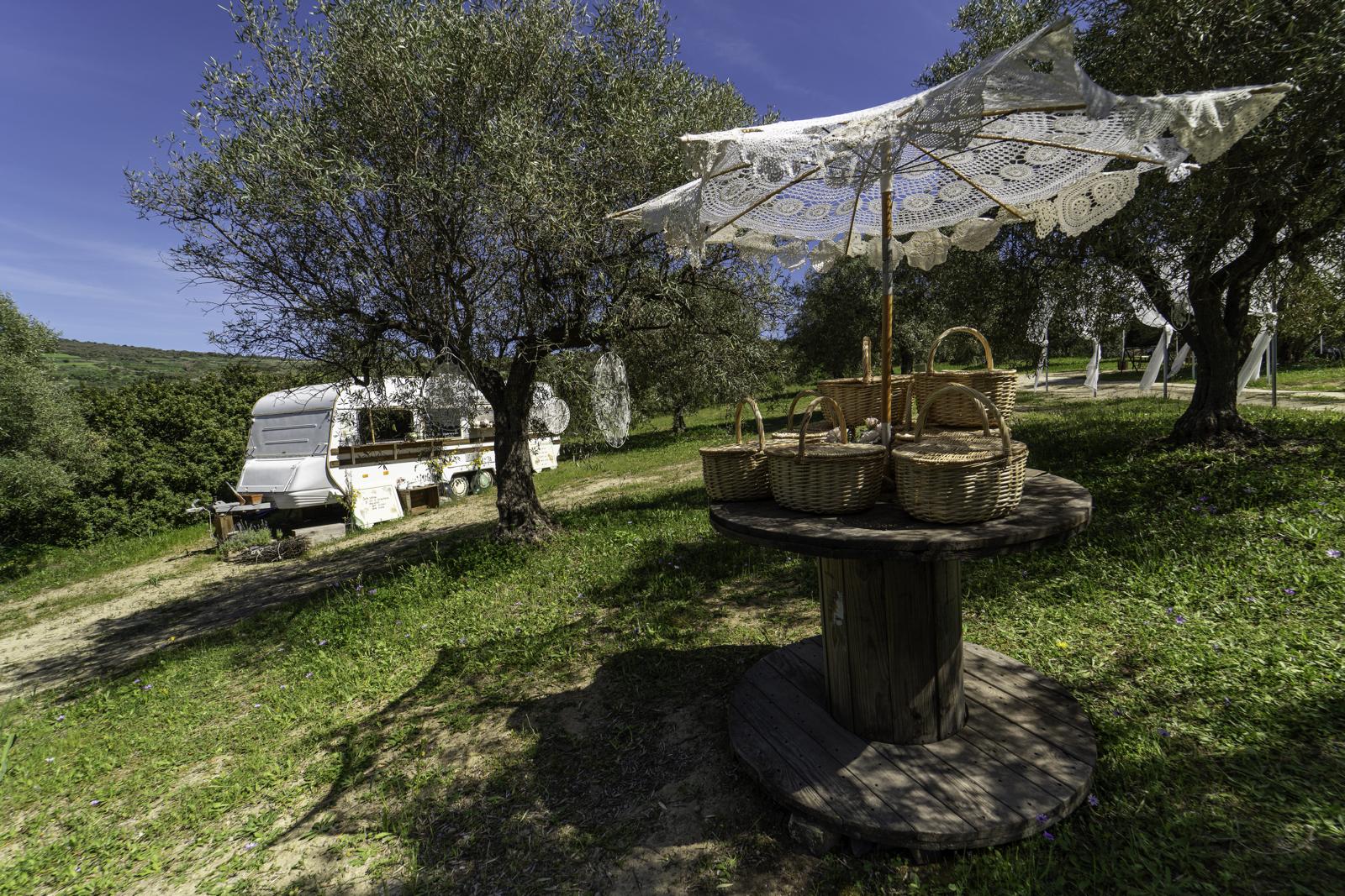 Sa Mola Glamping Experience tra gli ulivi
