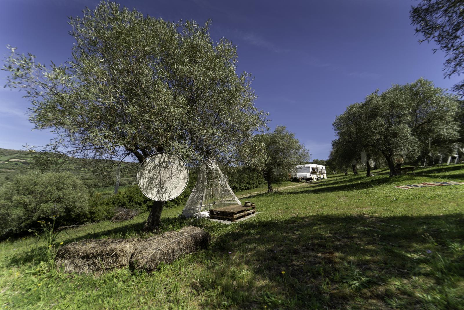 Sa Mola Glamping Experience tra gli ulivi