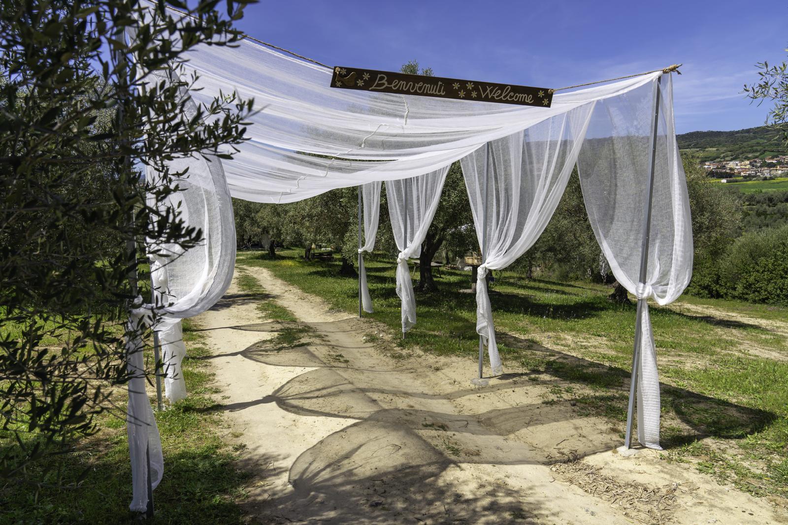 Sa Mola Glamping Experience tra gli ulivi