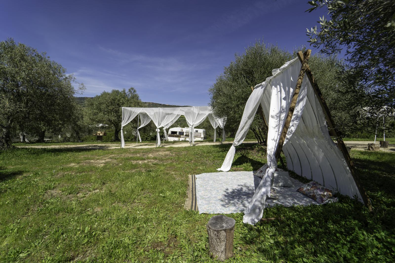 Sa Mola Glamping Experience tra gli ulivi