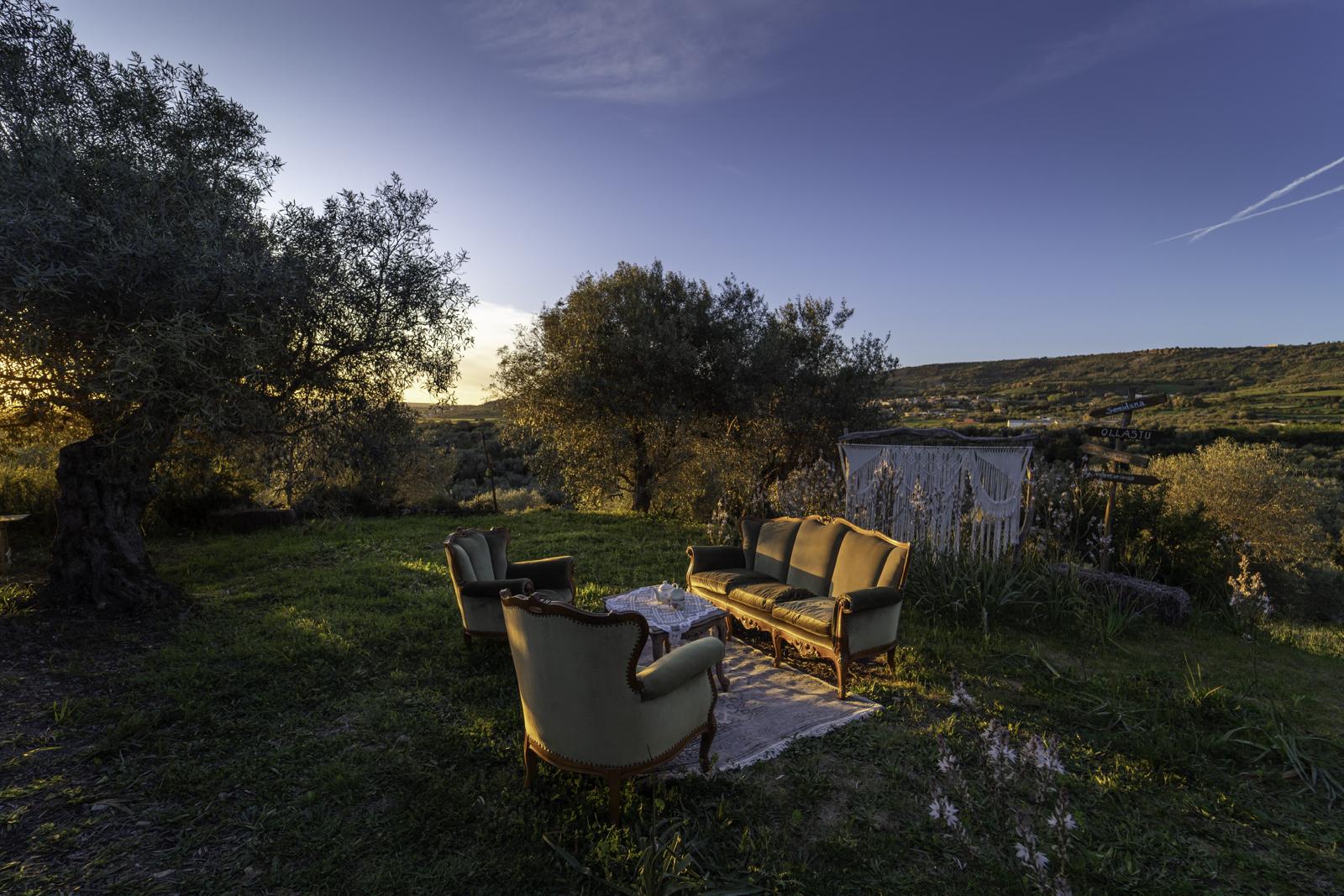 Sa Mola Glamping Experience tra gli ulivi