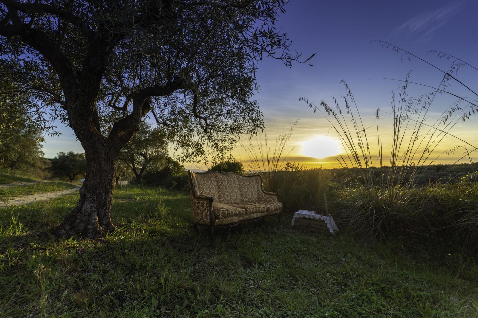 Sa Mola Glamping Experience tra gli ulivi