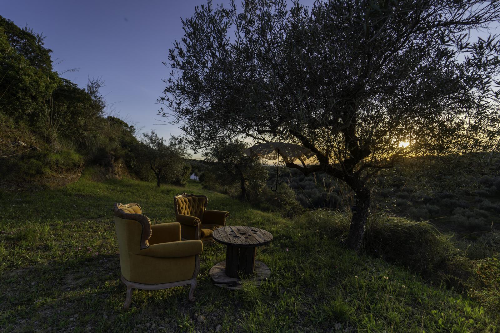 Sa Mola Glamping Experience tra gli ulivi