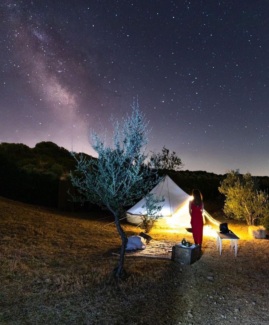 Sa Mola Glamping Experience tra gli ulivi