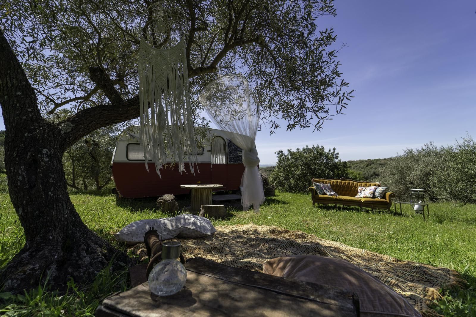 Roulotte vintage tra gli ulivi Sa Mola Glamping Experience