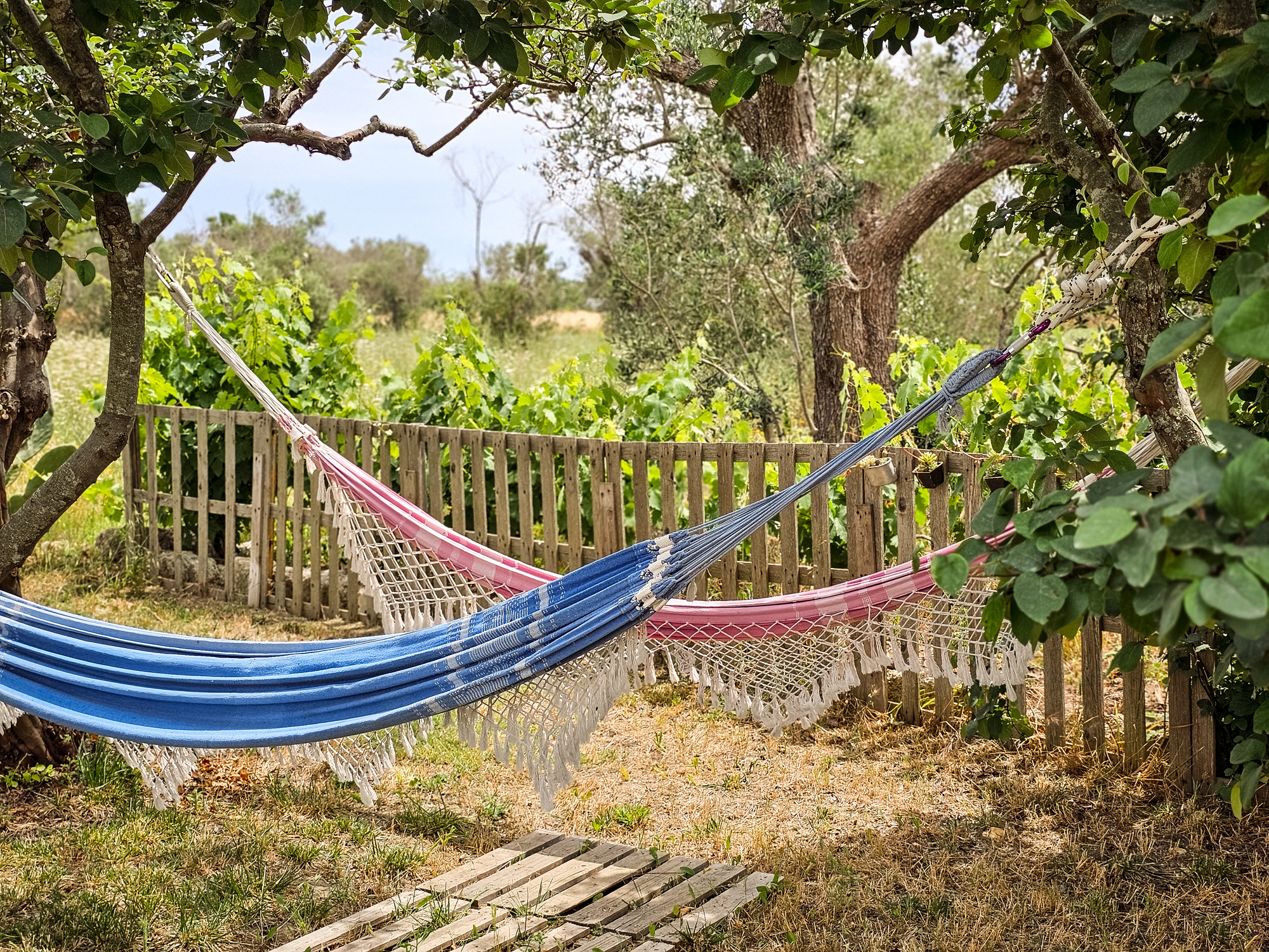 Caravan in the Salento countryside