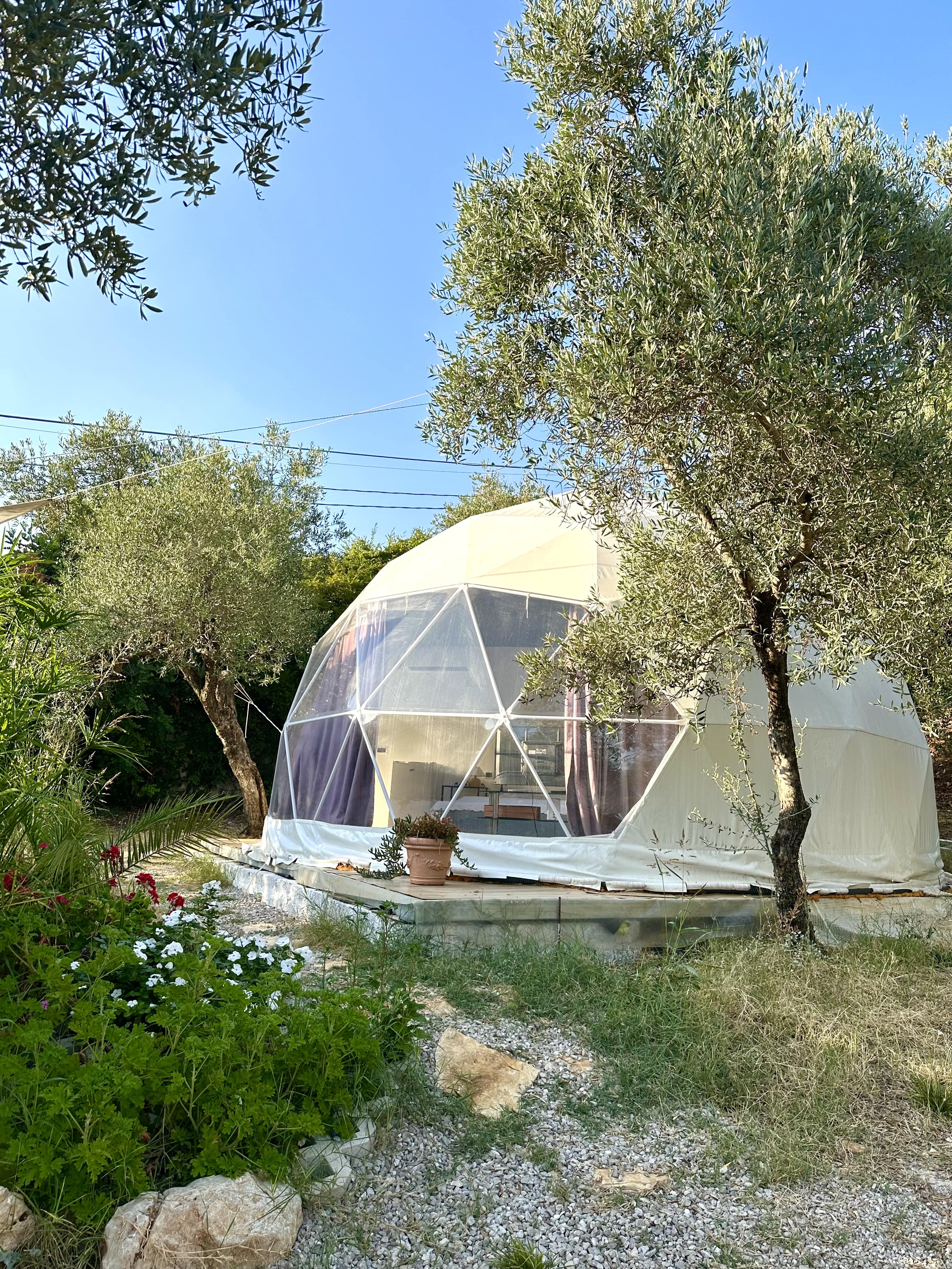 Glamping con Cupola geodetica in azienda olivicola biologica a pochi km da Sperlonga - Gaeta