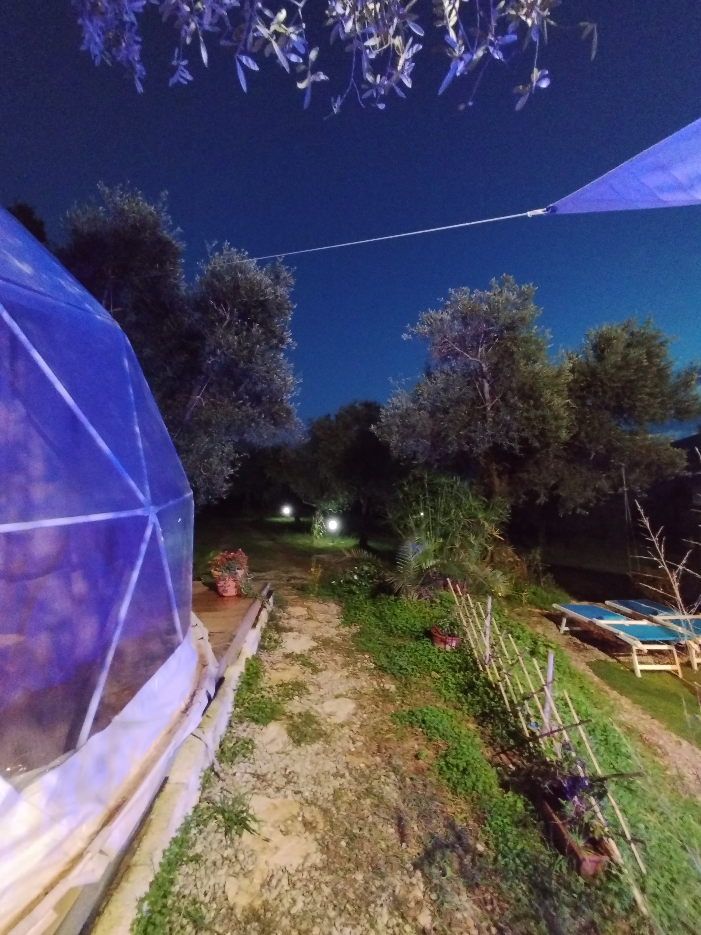 Glamping con Cupola geodetica in azienda olivicola biologica a pochi km da Sperlonga - Gaeta