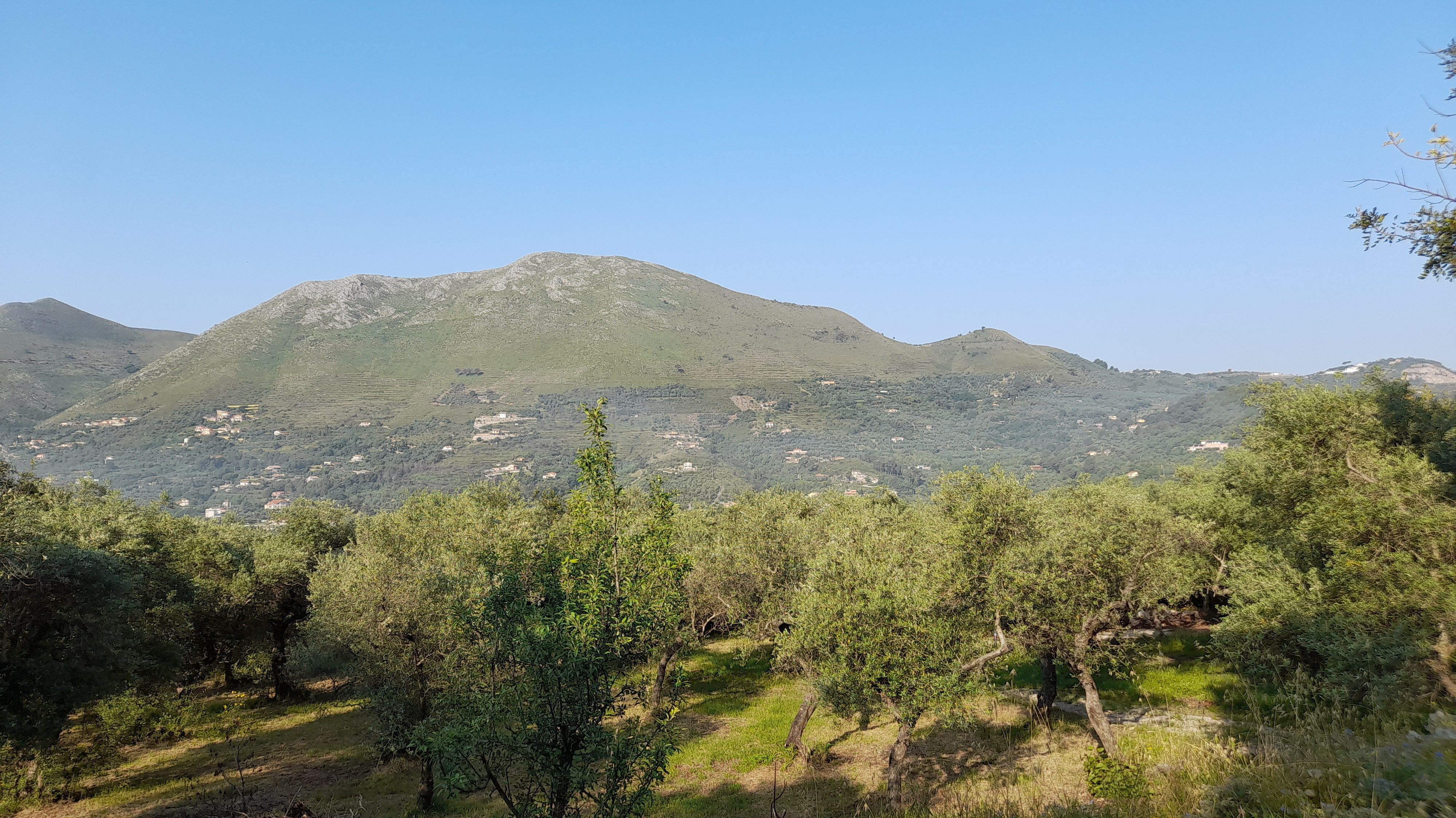 Glamping con Cupola geodetica in azienda olivicola biologica a pochi km da Sperlonga - Gaeta