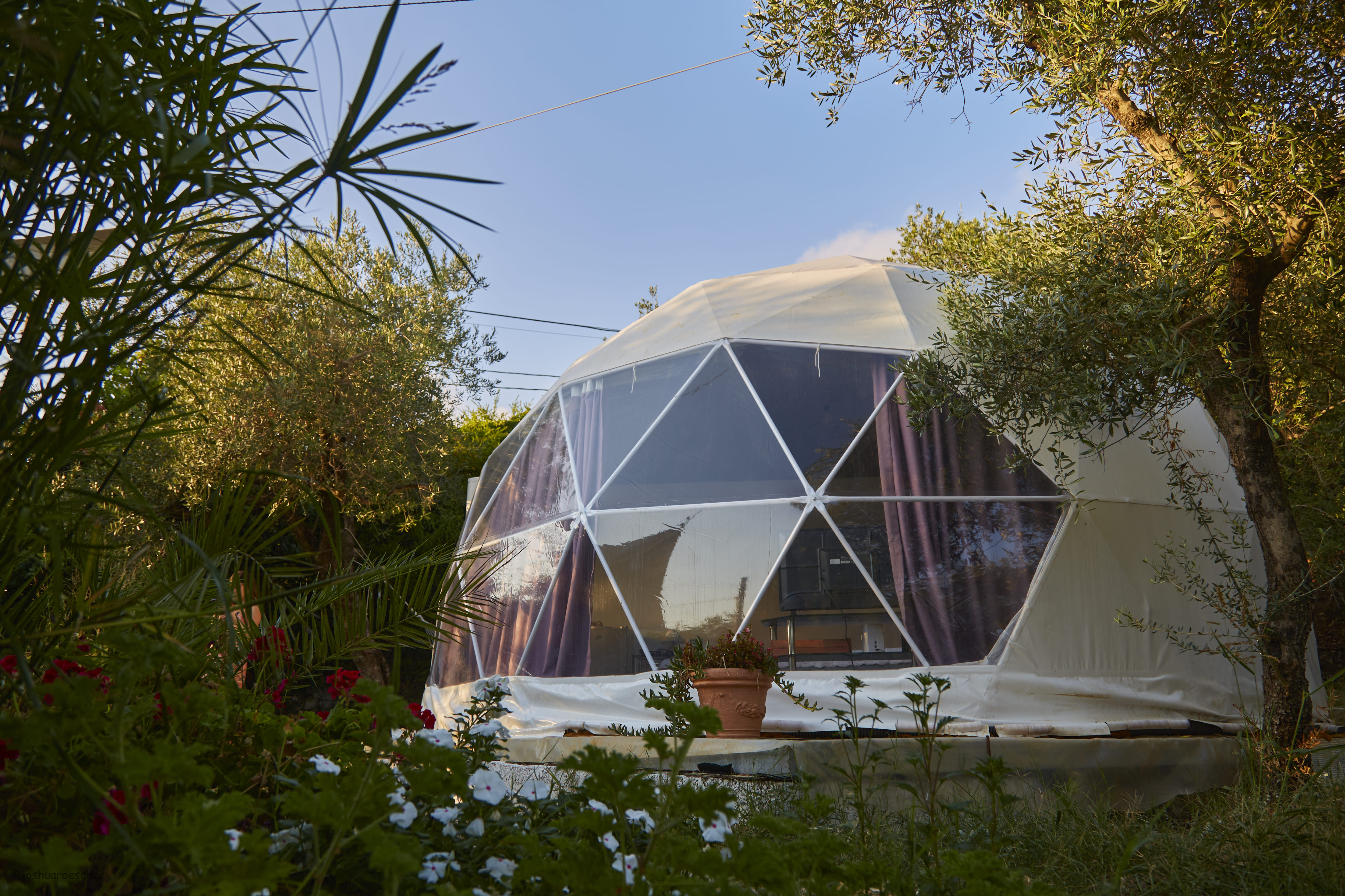 Glamping con Cupola geodetica in azienda olivicola biologica a pochi km da Sperlonga - Gaeta