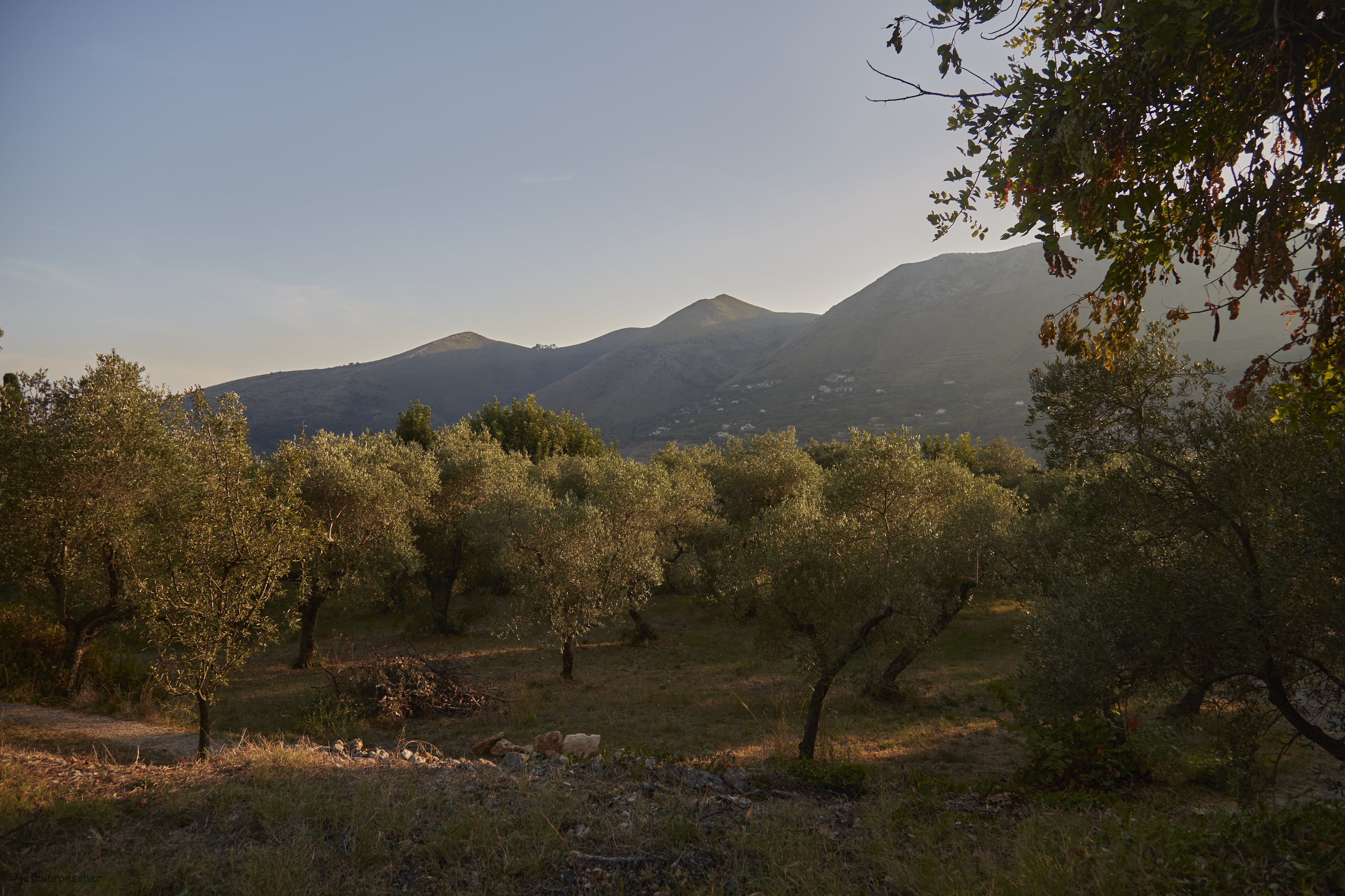 Glamping con Cupola geodetica in azienda olivicola biologica a pochi km da Sperlonga - Gaeta