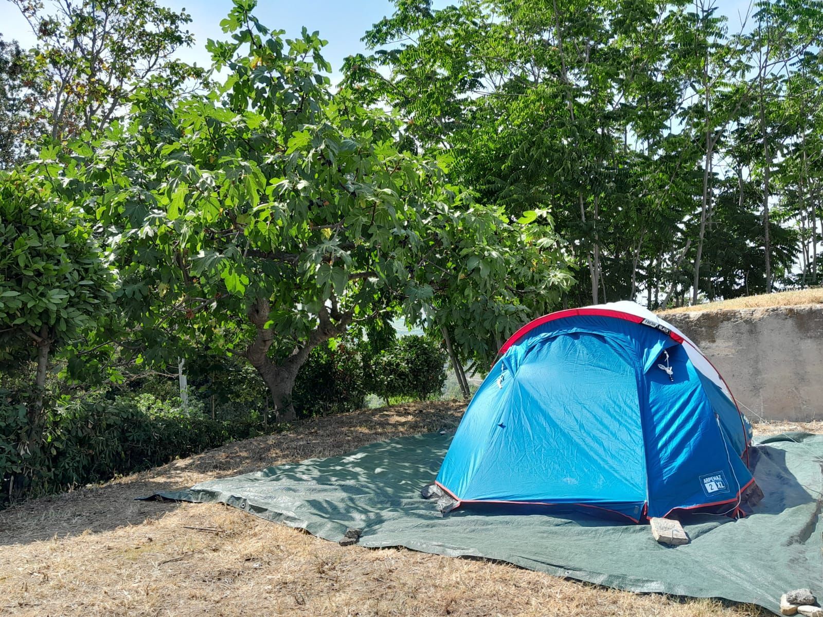 Area Camper, Roulotte e Tende sulla Costa dei Trabocchi