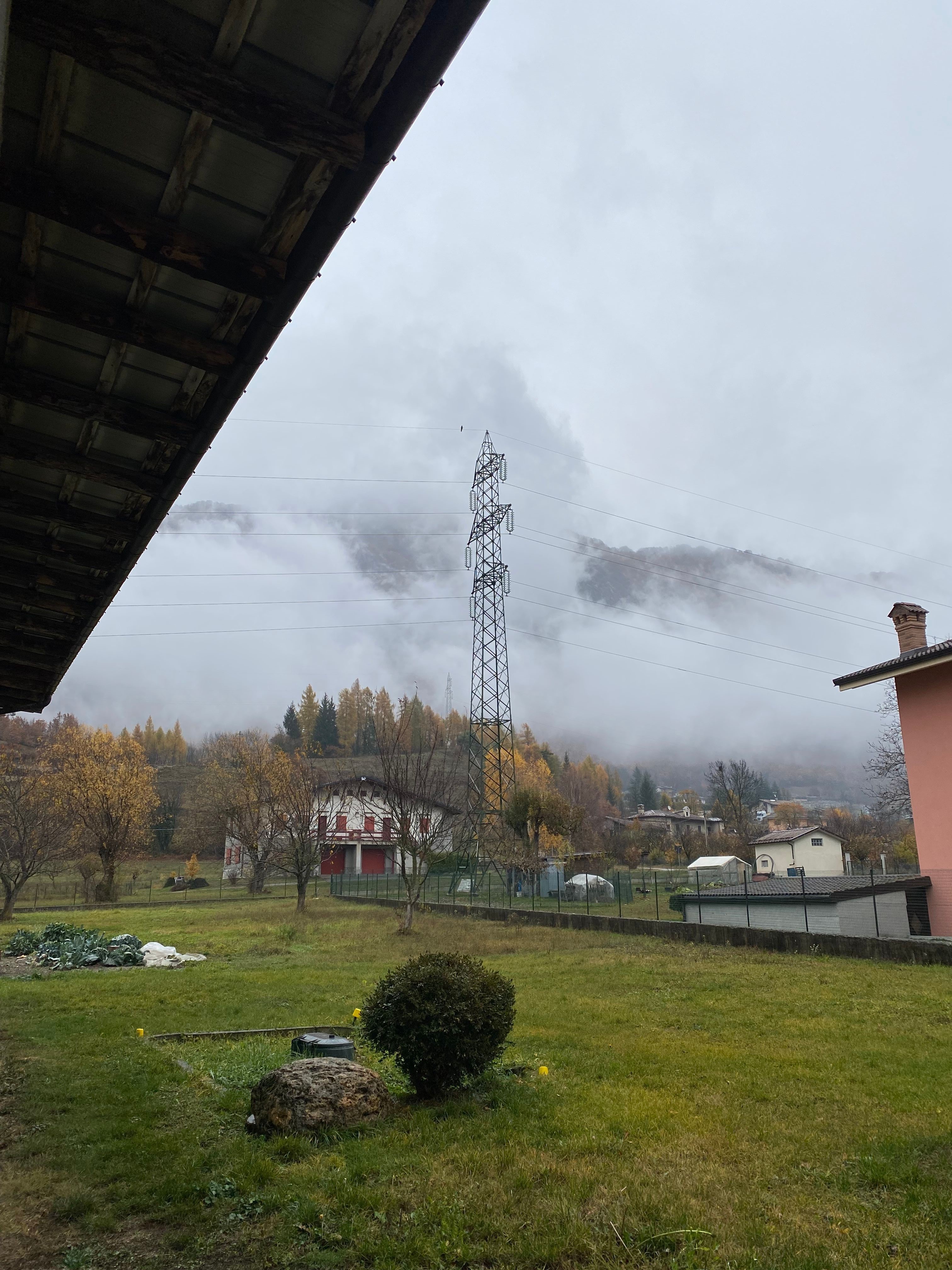 prato/campo in montagna vista lavanda e paesaggi